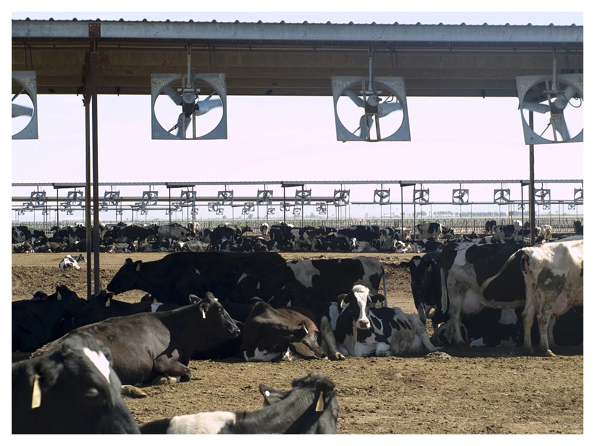 FAN COOLED GLOBAL WARMING UNITS