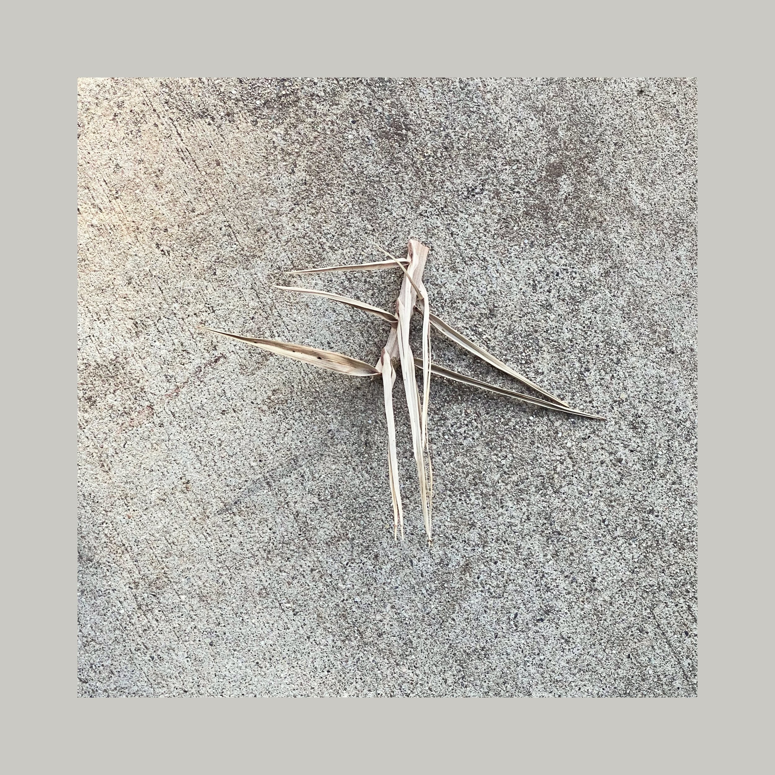 Look Down - The Dance