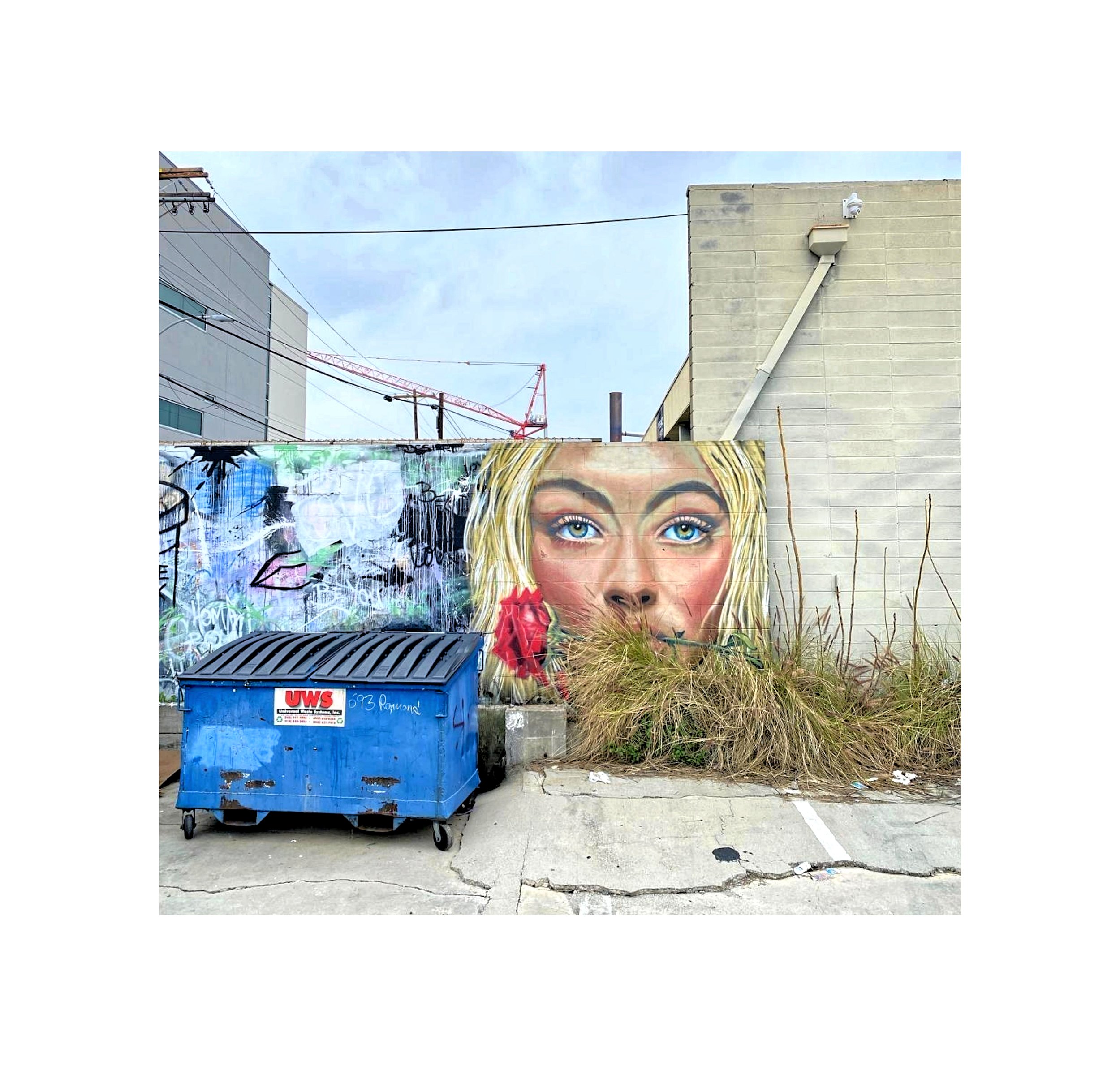 THE WOMAN IN THE ALLEY