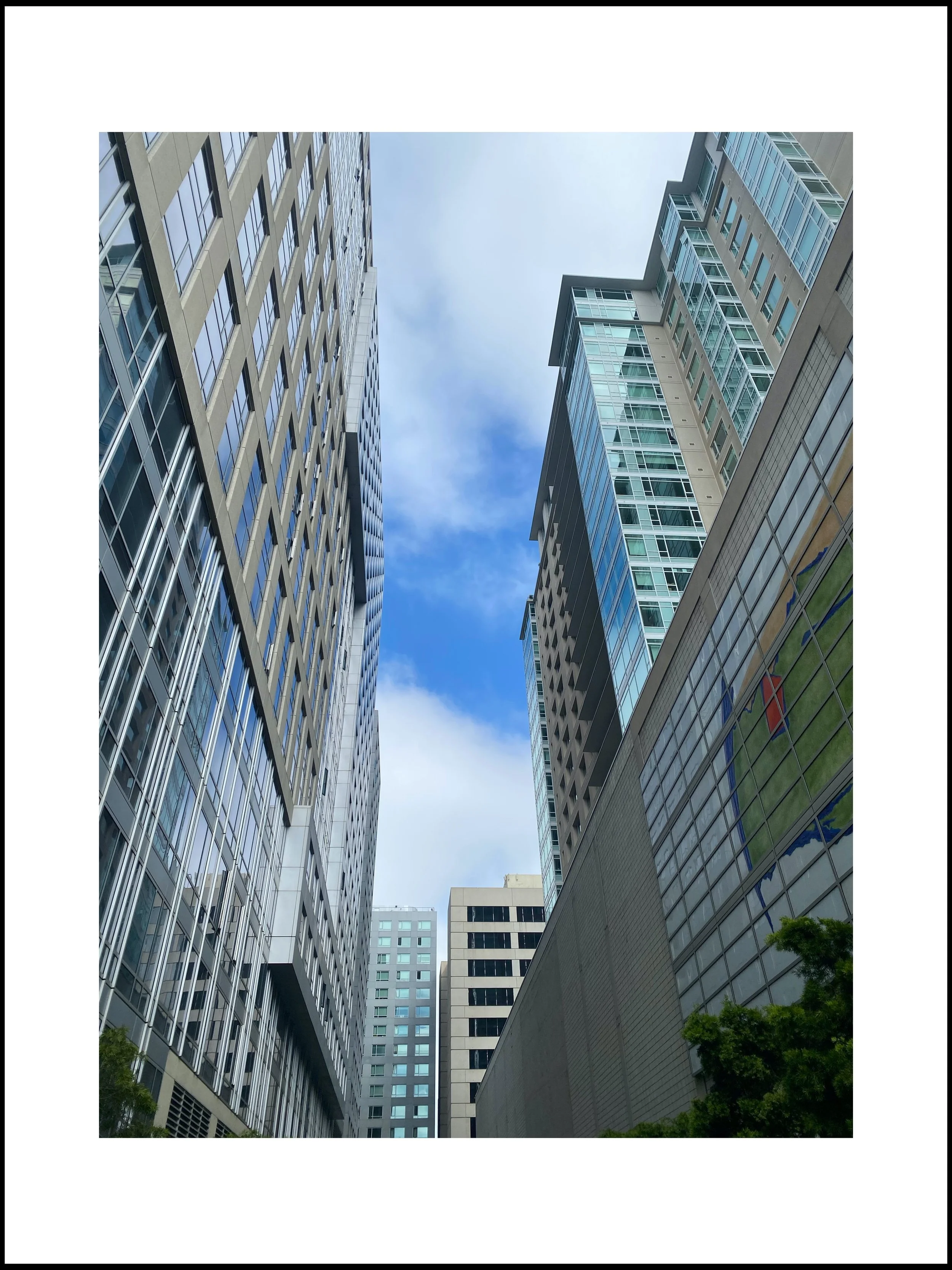 IMG_8278TOWERING2brdrs.jpg