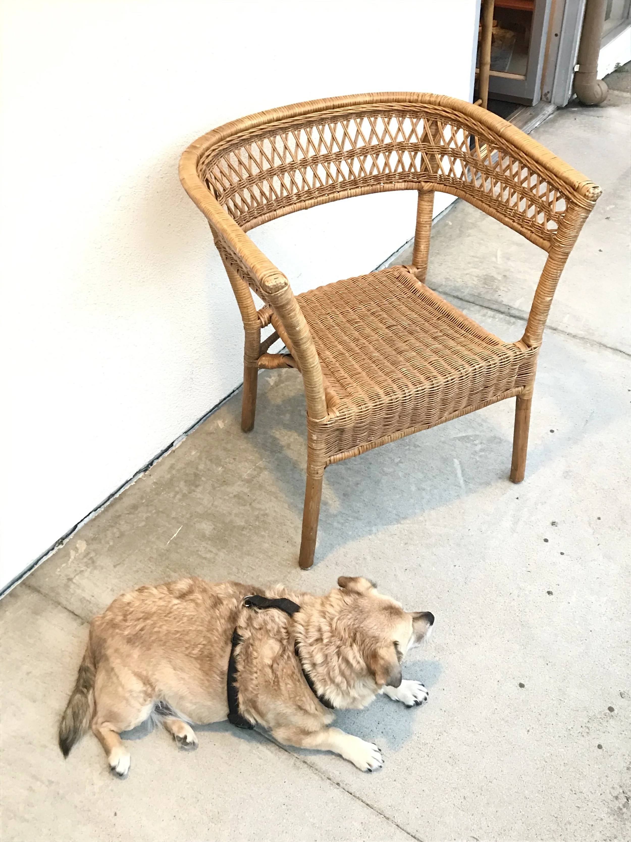 image2.jpeg