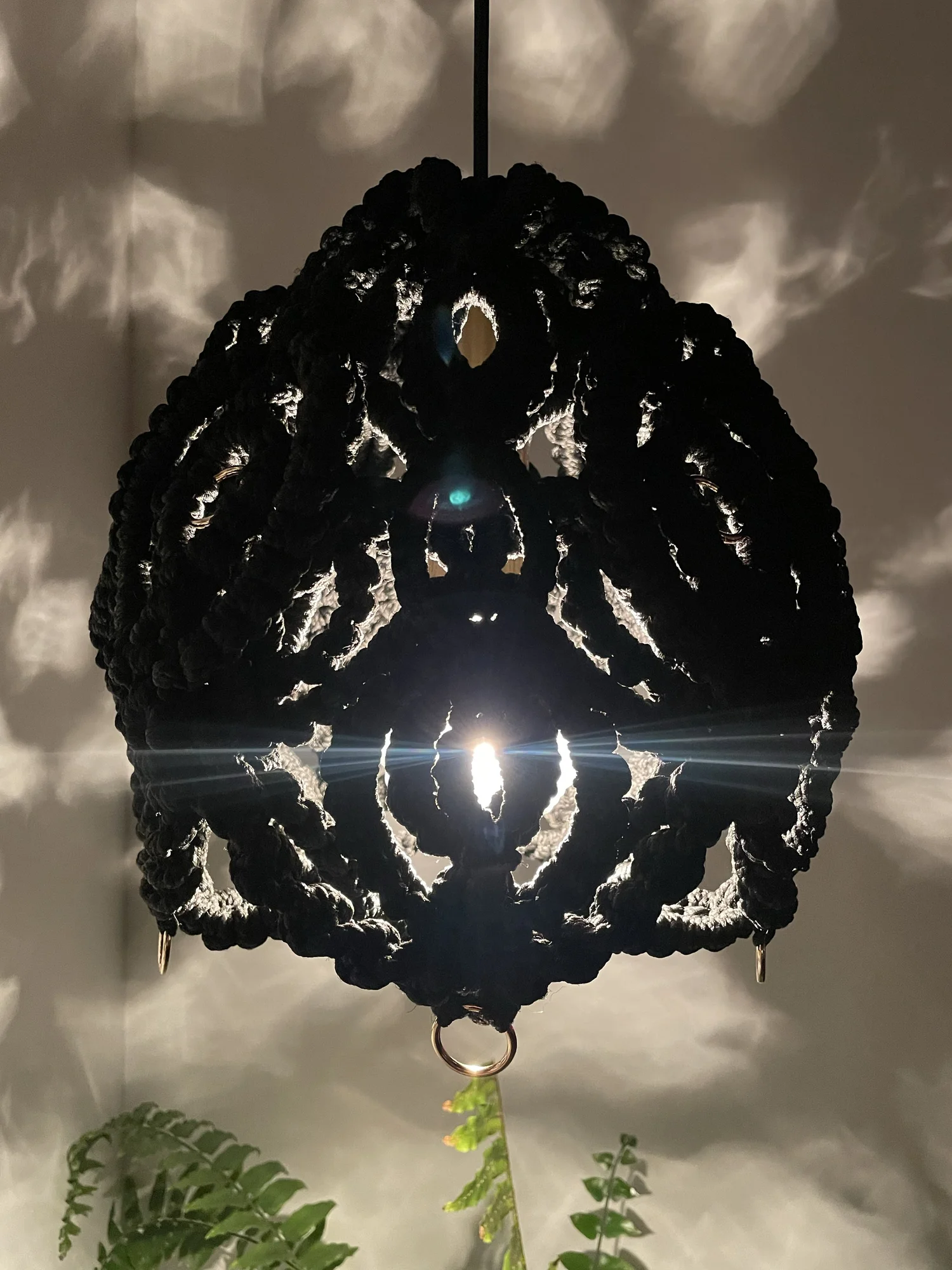Winterlaced: Light Study 4