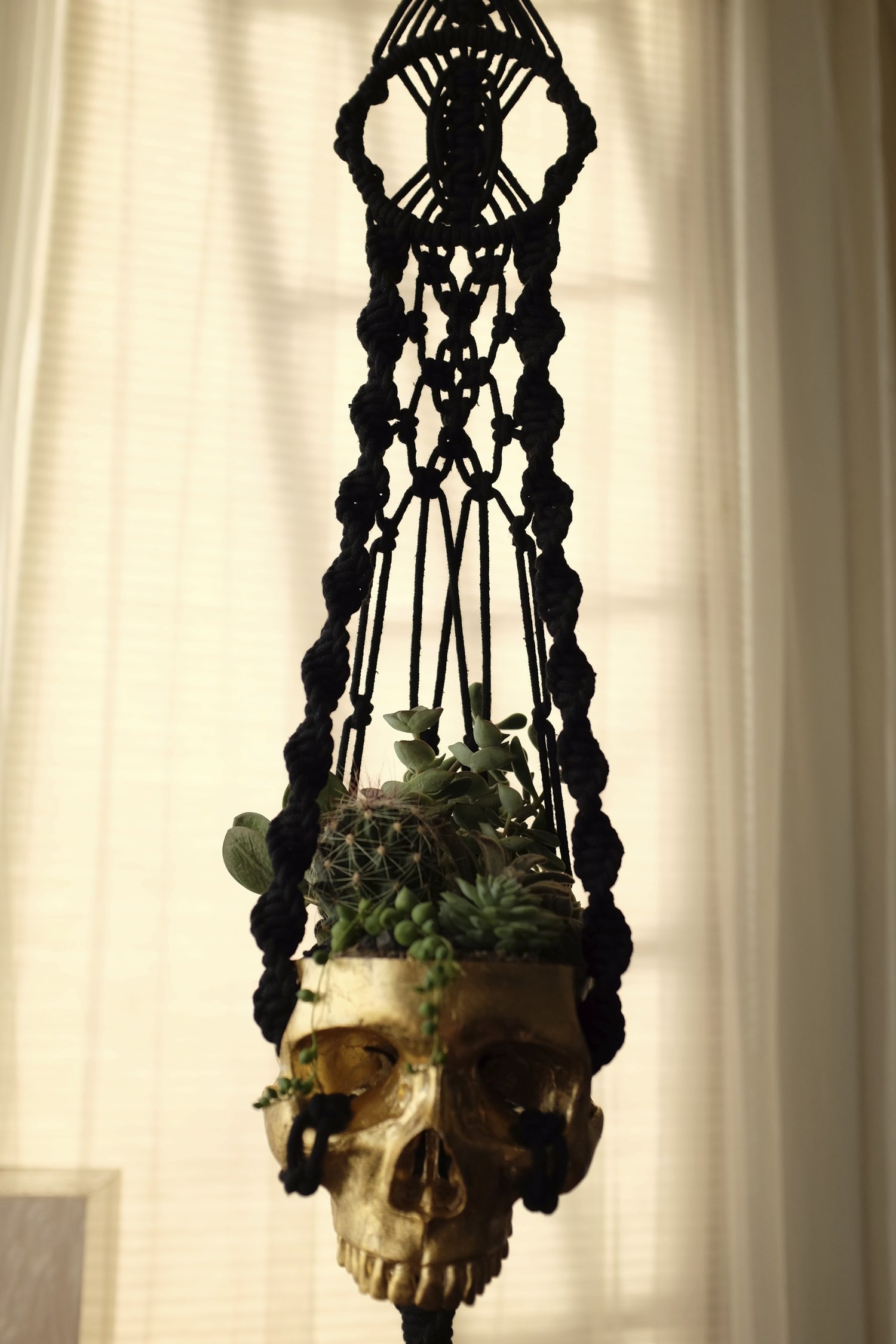 DSCF2539.jpg