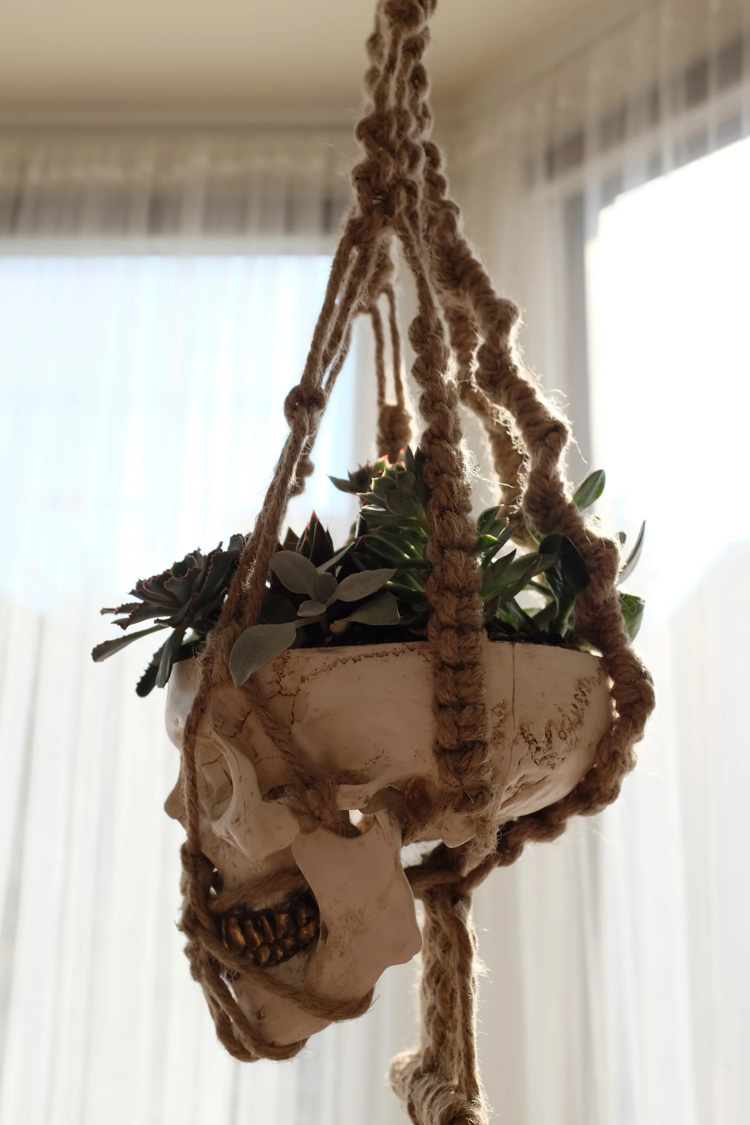 DSCF2589_2.jpg