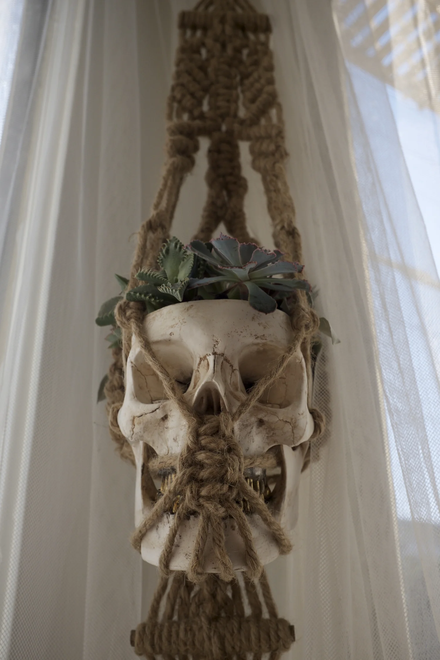 DSCF2581.jpg