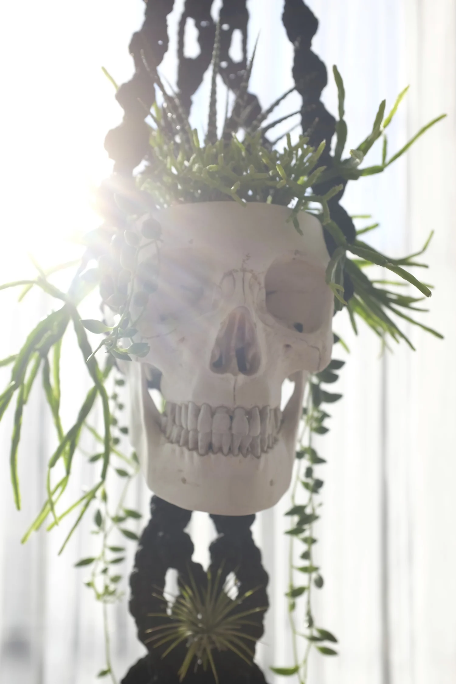 DSCF2701.jpg