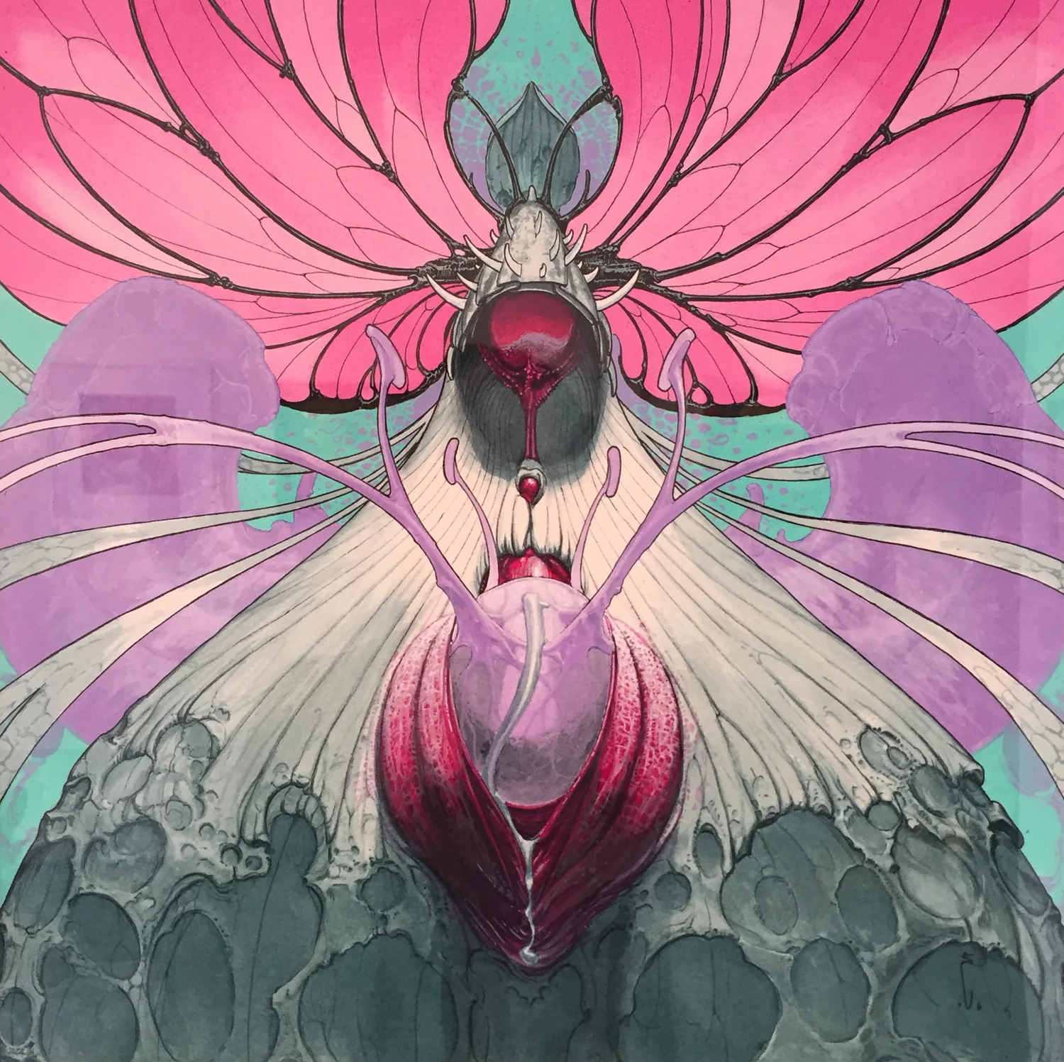 7_EDU_Seed_Dream.jpg