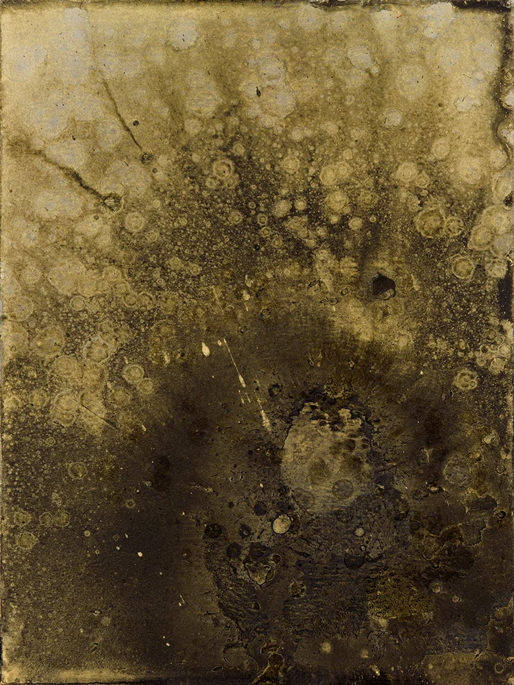 11: Gold & Black II 13.75x18.75” $400