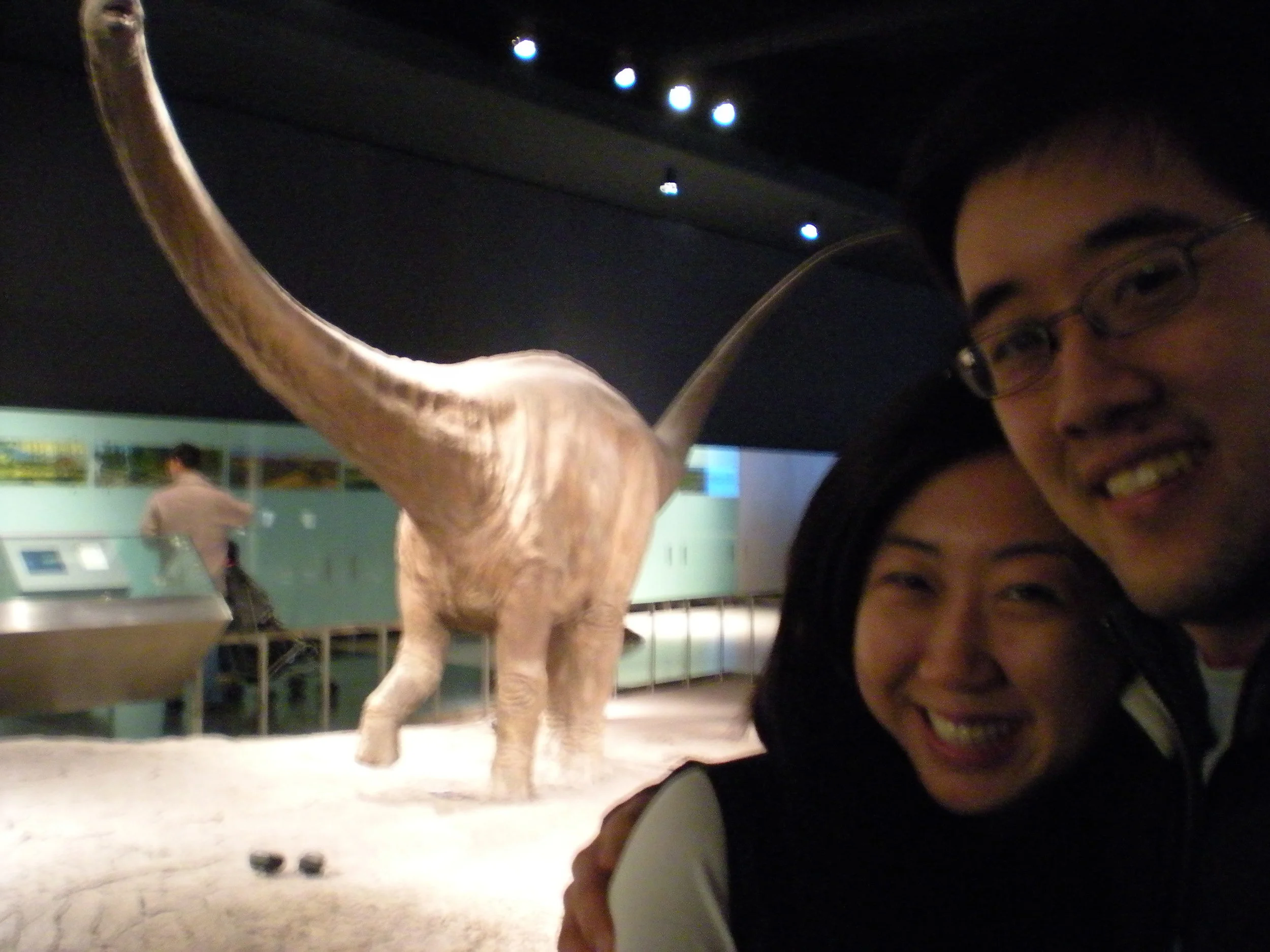   ​Museum of Natural History, New York. February 2009.  