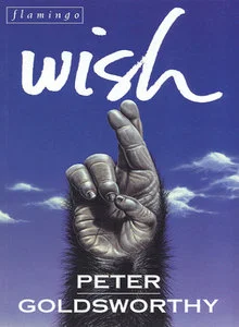 cover-wish.jpg