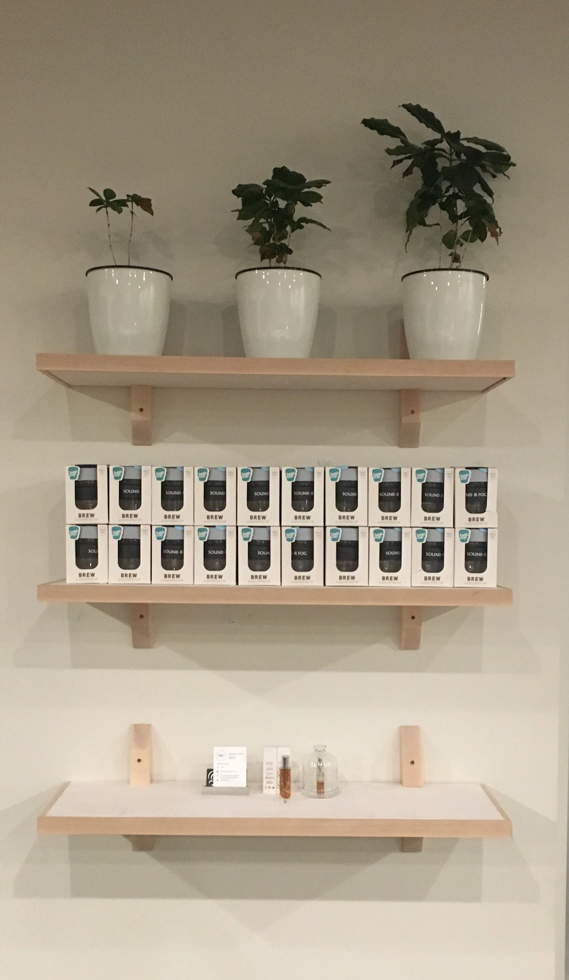 sound and fog shelves.JPEG