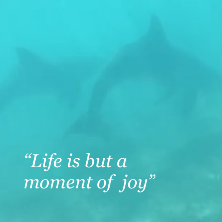 Meeting JoJo - Turks &amp; Caicos Biggest Superstar