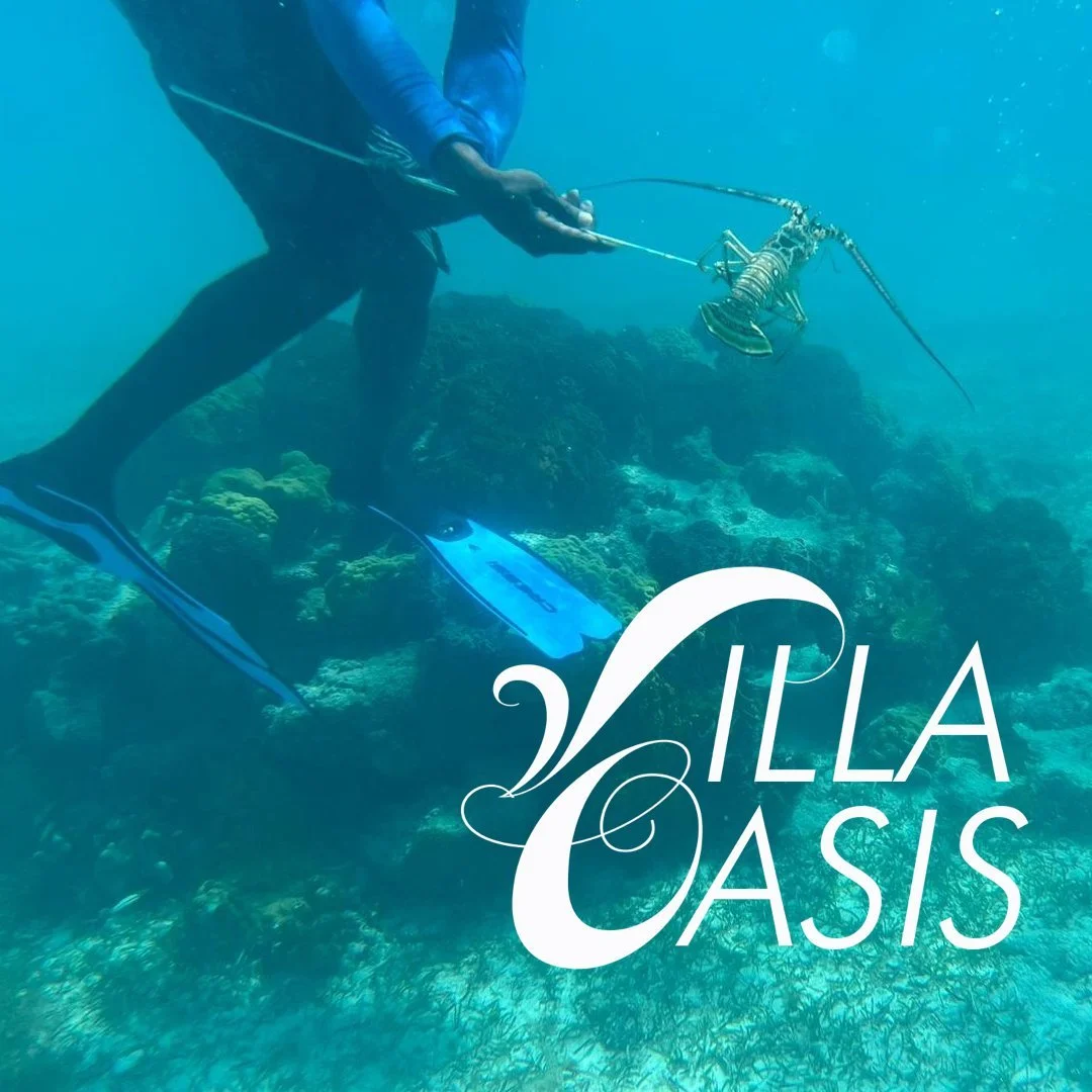 Father's Day Fun At Villa Oasis