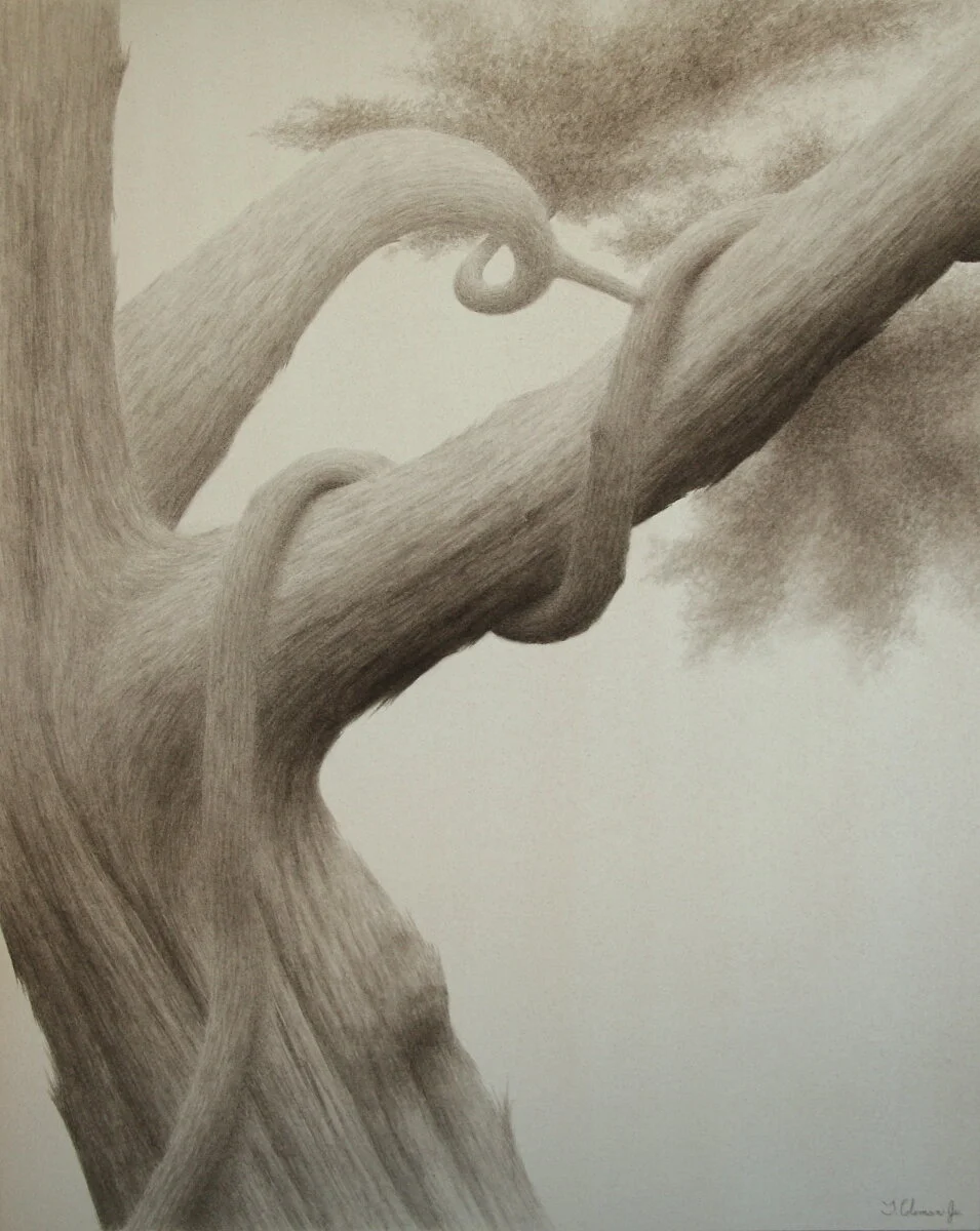 "Tree & Vine"