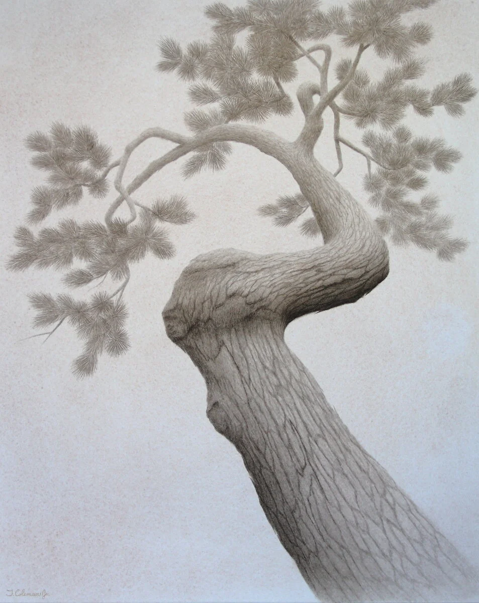 "Seeking Balance"