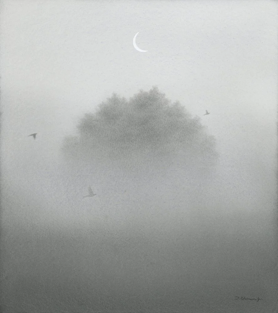 A Dream Of Nocturnal Appalachia.jpg