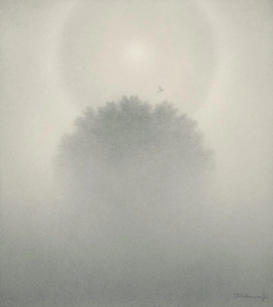 "Solar Serenade"
