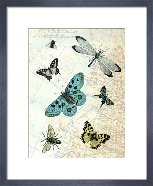 Flying High_framed print from King & McGaw.jpg