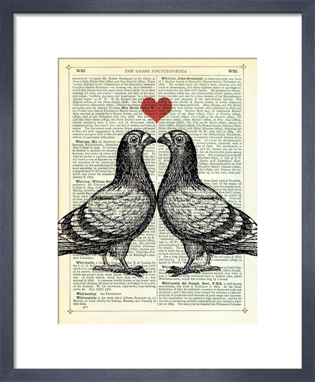 Pigeons in Love_framed print from King & McGaw.jpg