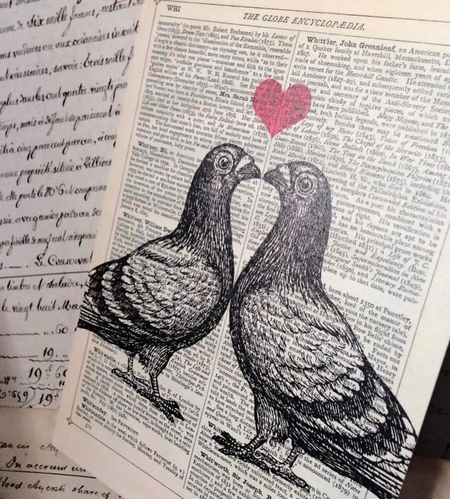 Pigeons in Love', Happy Valentine&rsquo;s Day! ❤️#pigeons #love #heart #valentinesday #birds #nature #quirky #art #design #oldletters #vintage #dictionaryart #bookart #marionmccdesign #print #wallart #marionmcconaghiedesigns