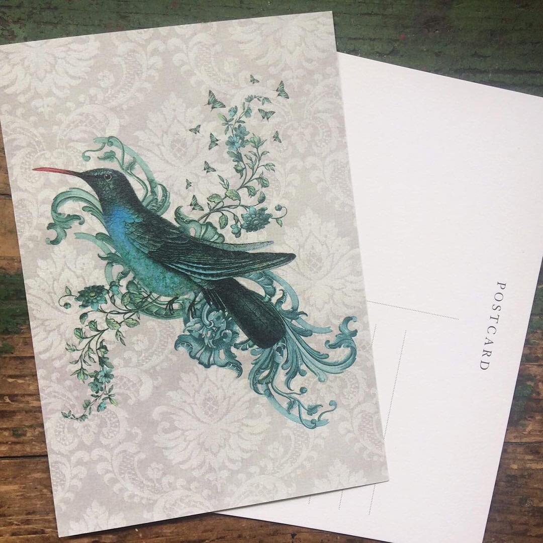 &lsquo;Ornate Hummingbird&rsquo; postcard, available from @lagomdesign, see link in bio to purchase. #postcard #hummingbird #bird #vintage #style #design #stationery #stationeryaddict #nature #green #blue #lagomdesign #marionmcconaghie
