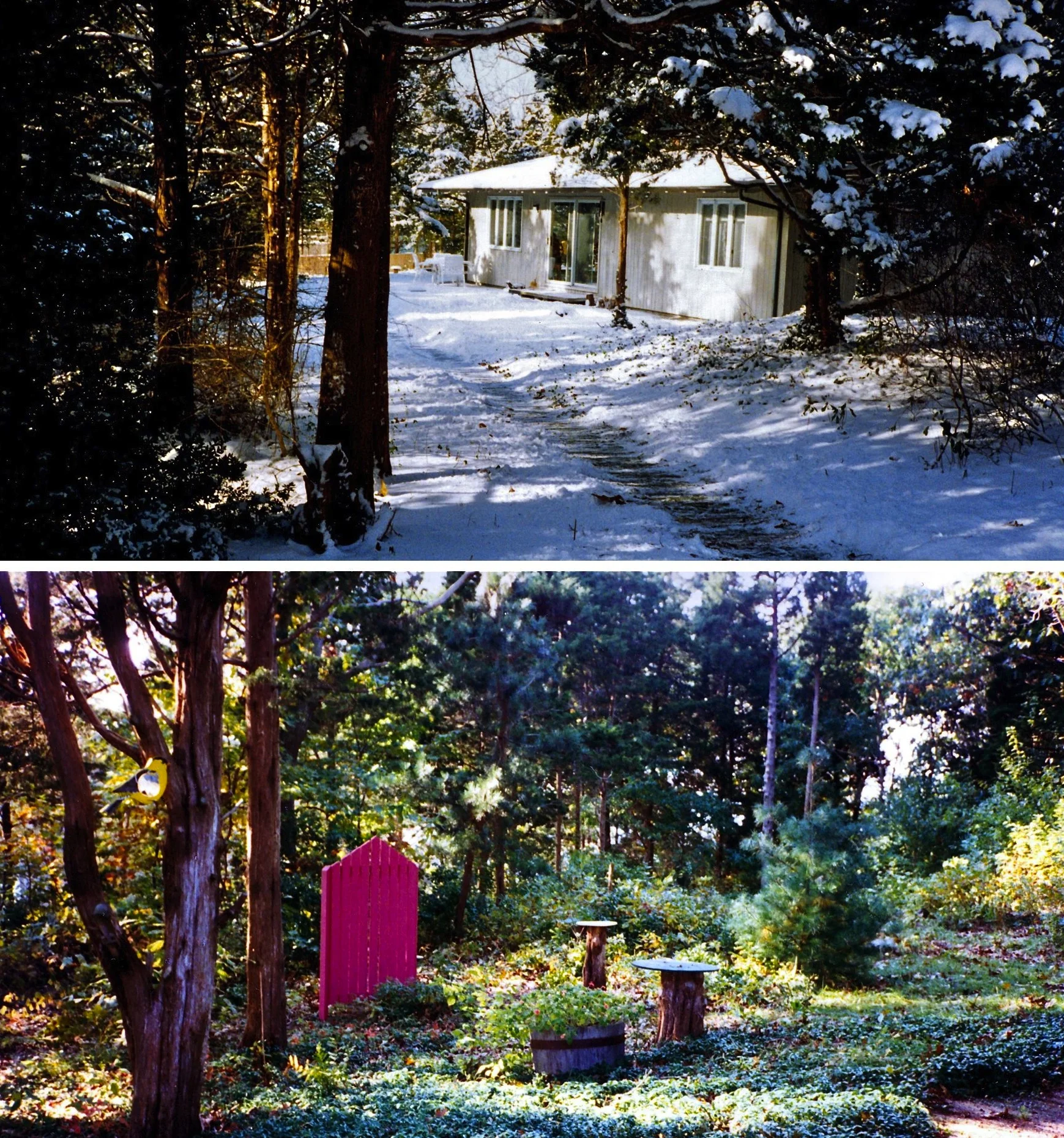 Path+Greenery+gate1(cr).jpg