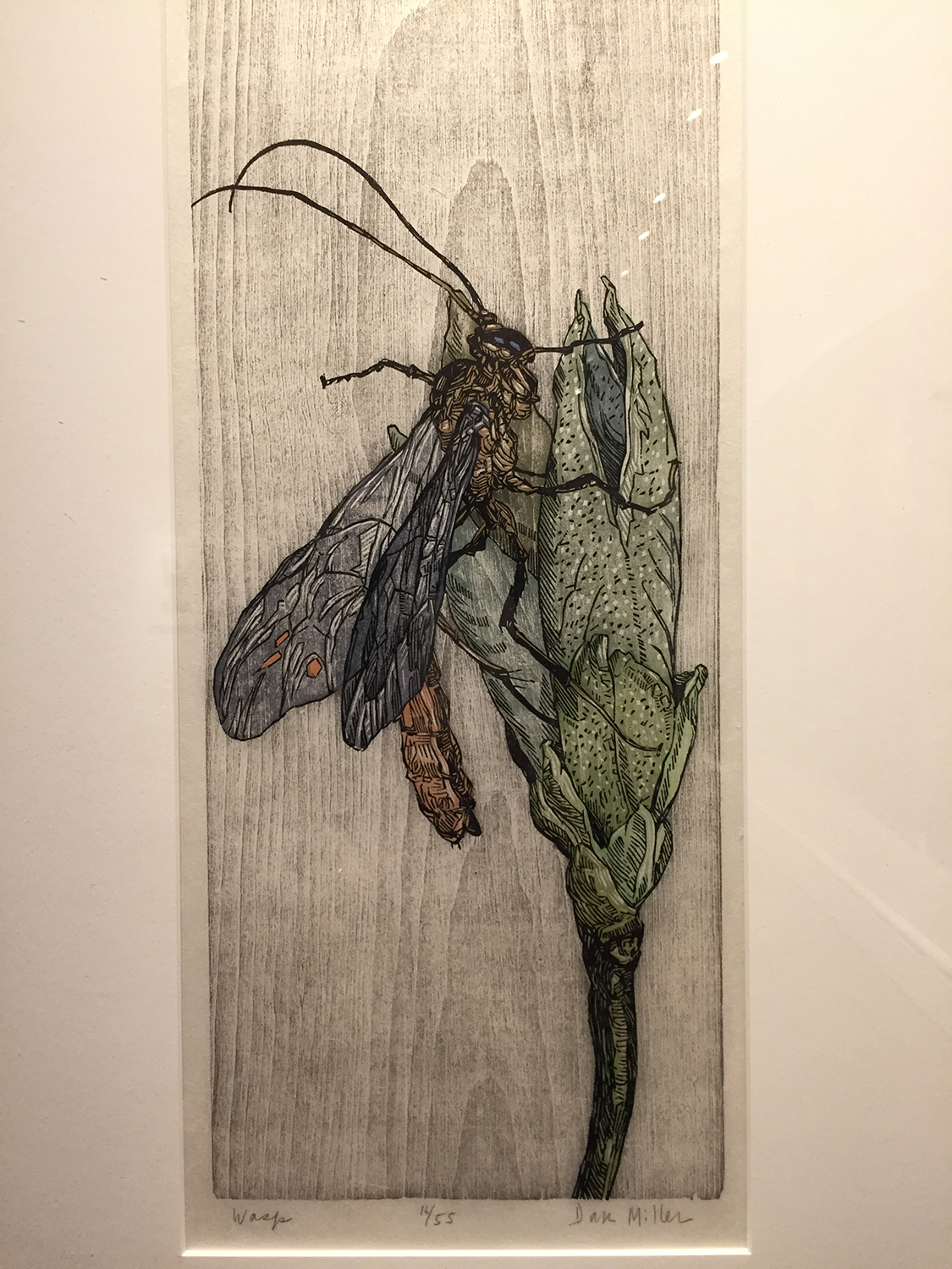 Wasp, color woodcut by Dan Miller