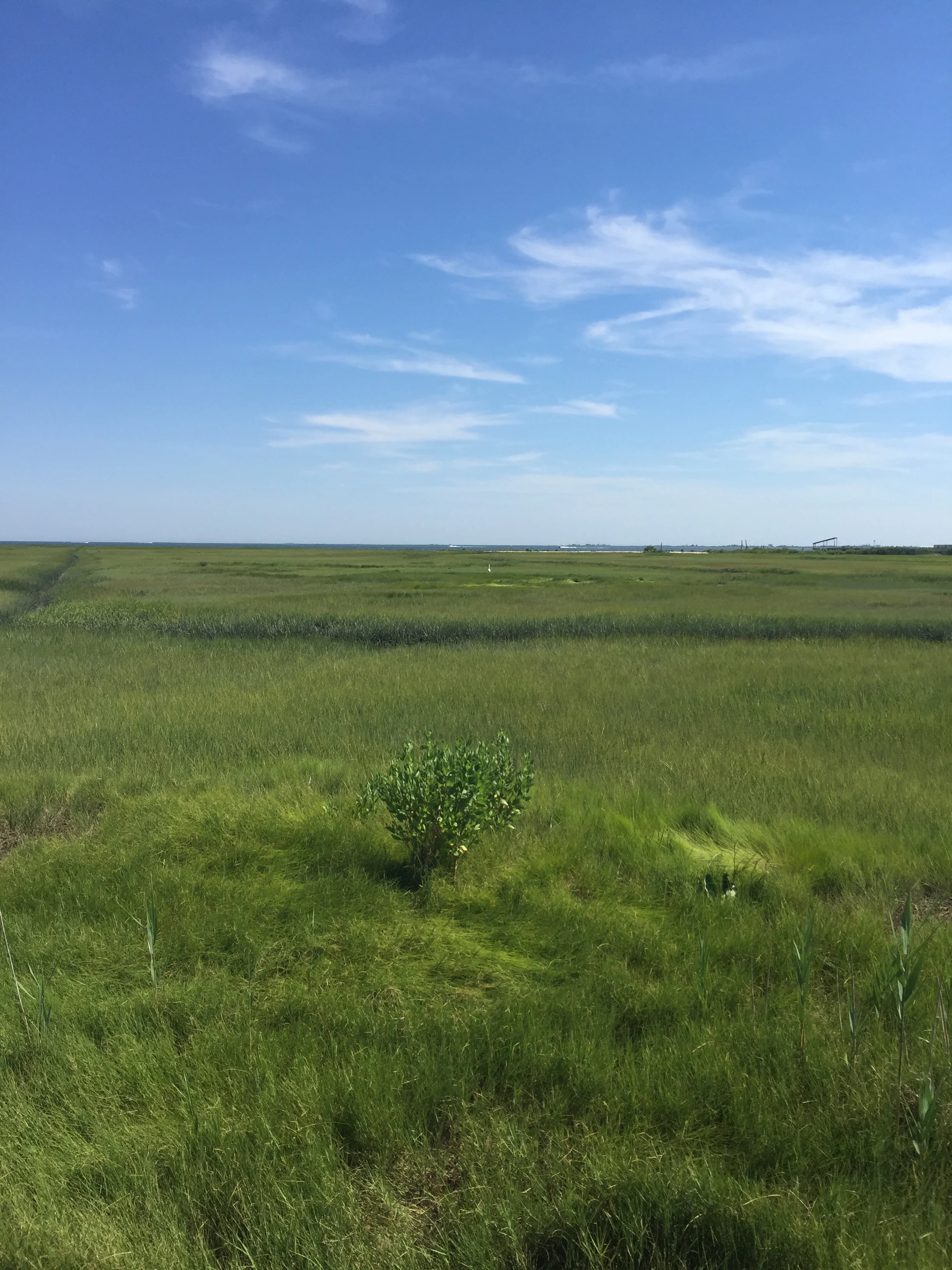 Stunning Vacation Home Views? You'll Sacrifice One Thing.