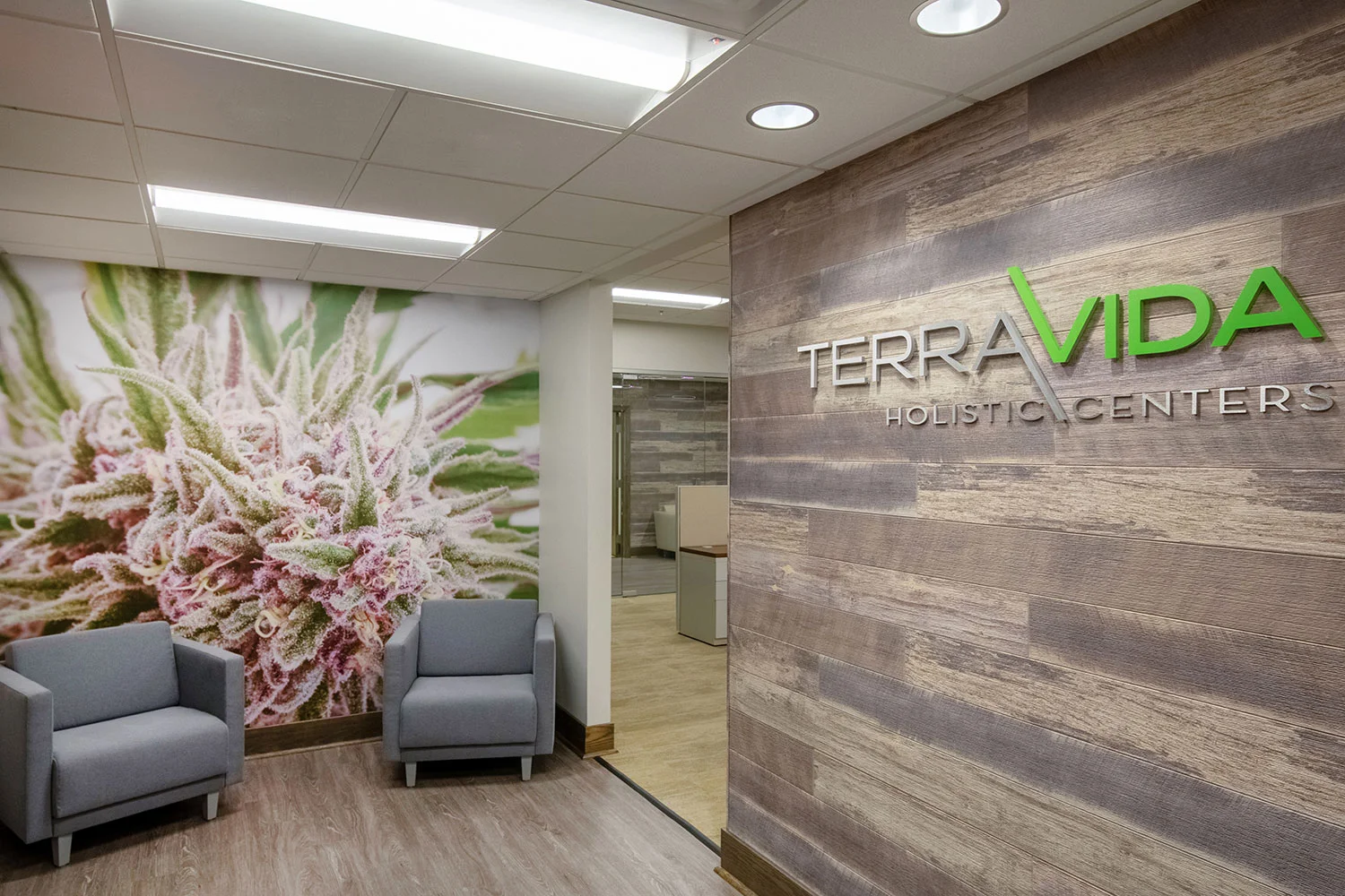 TerraVida Holistic Centers