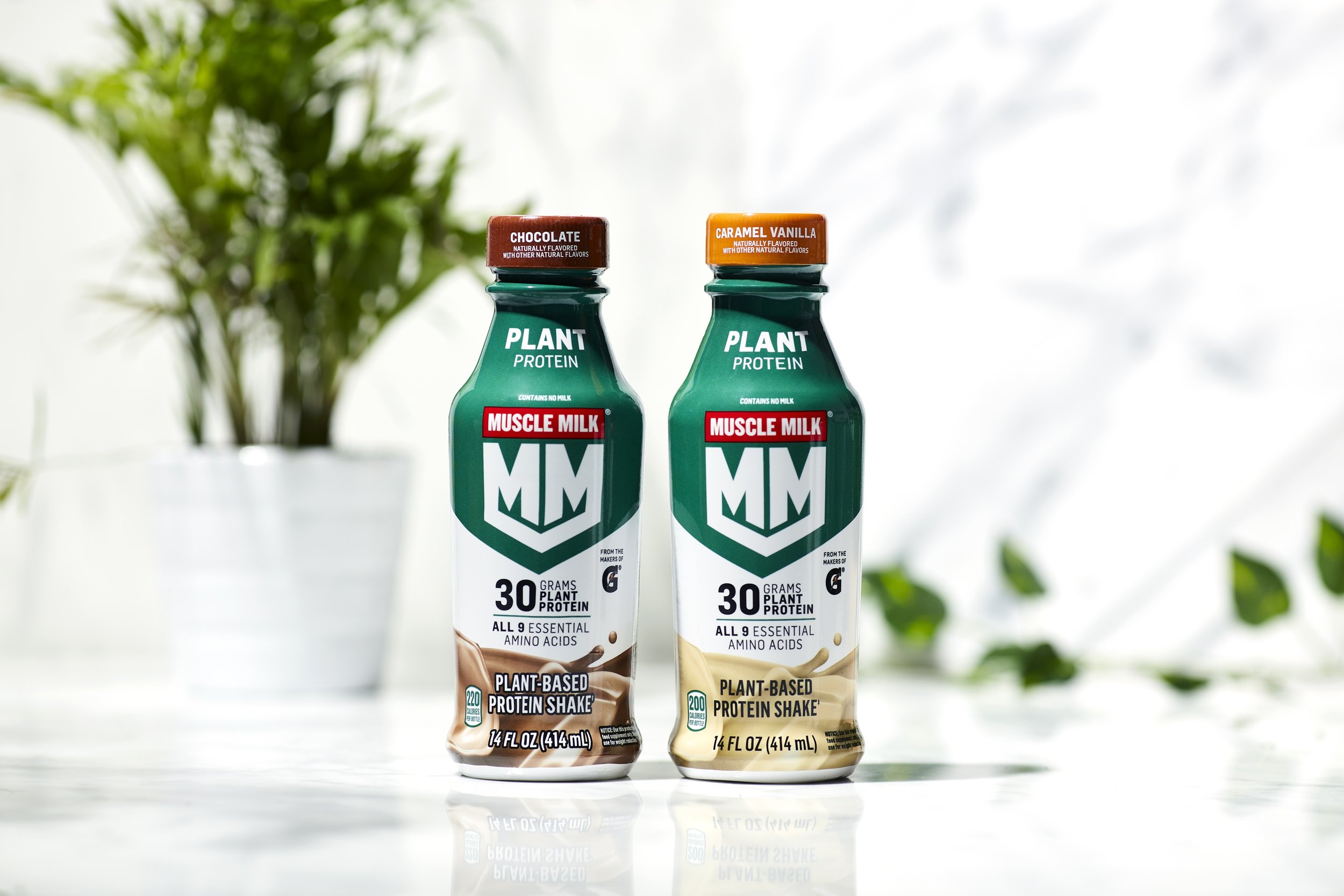 MM23_PLANT_HDPECHOC_CARMVAN_TT_1.jpg