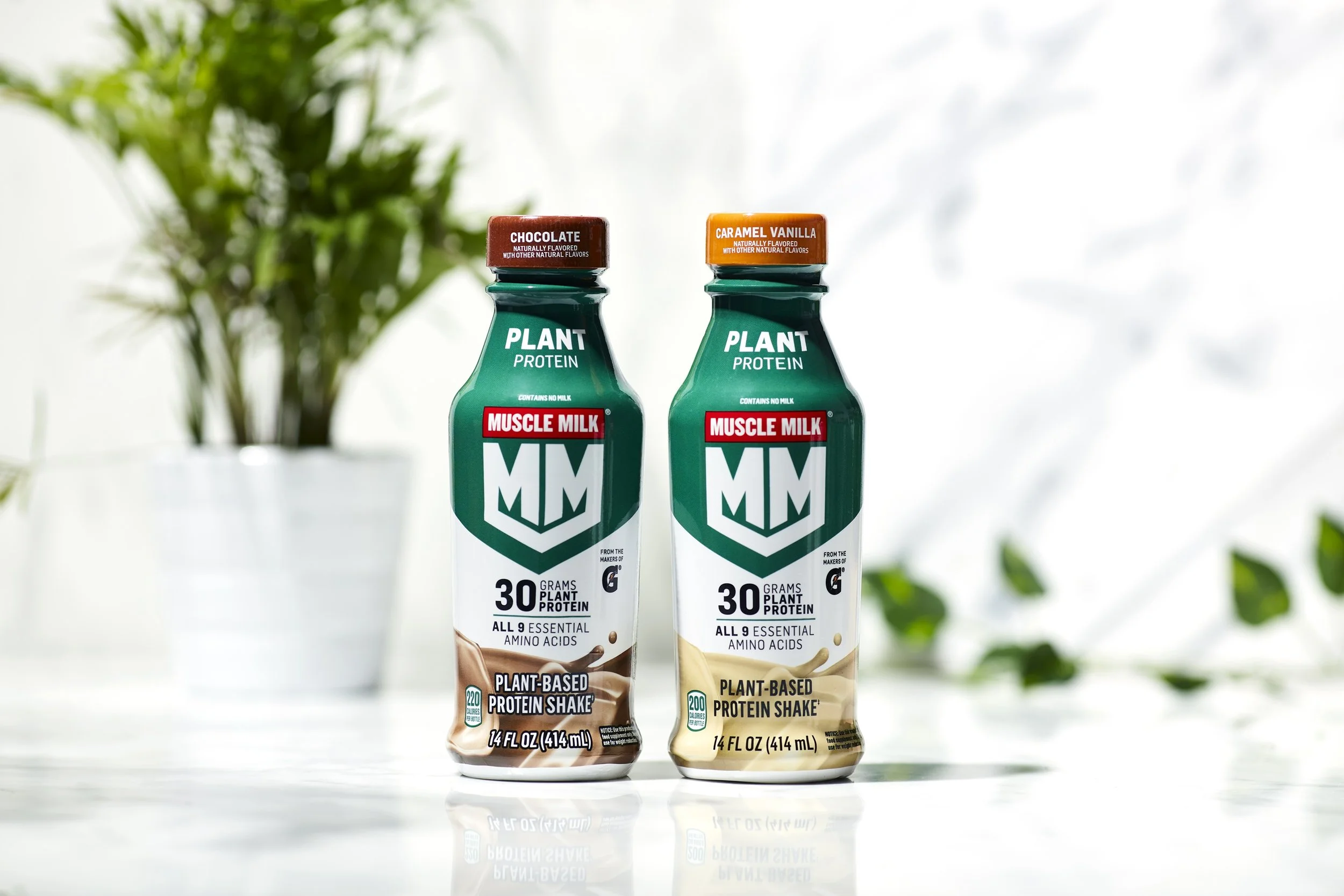 MM23_PLANT_HDPECHOC_CARMVAN_TT_1.jpg