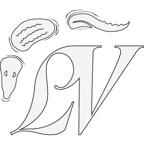 Award Winning Design