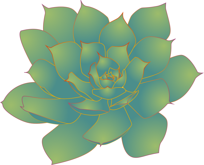 Succulent2.png