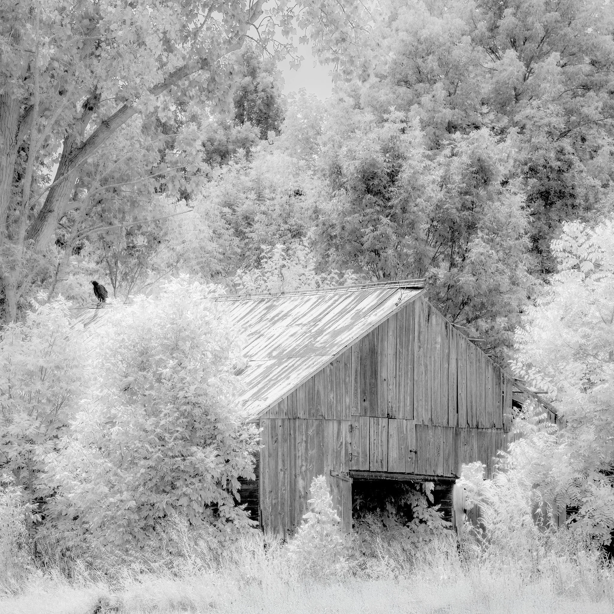 Aug 24 20252-52 PM_DSF0049 3.jpg