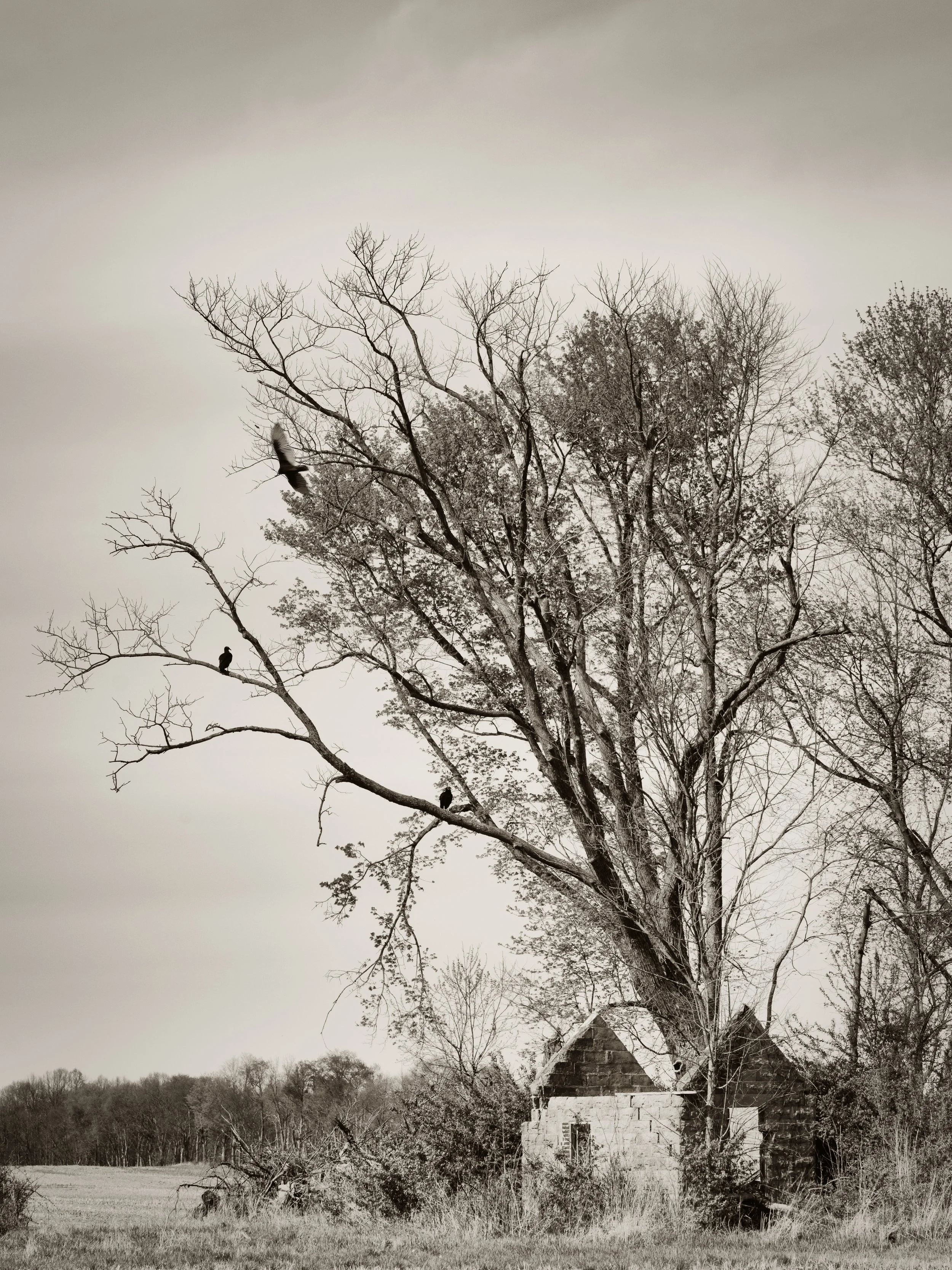 _DSC0229-Edit.jpg
