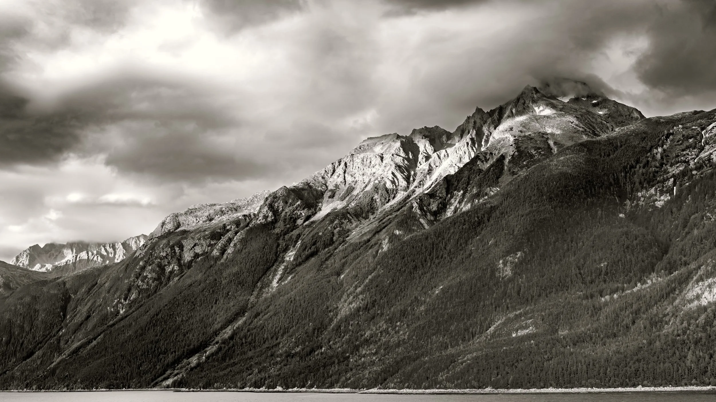 EmptyName 43-Edit-3-2026 Social Media-2.jpg