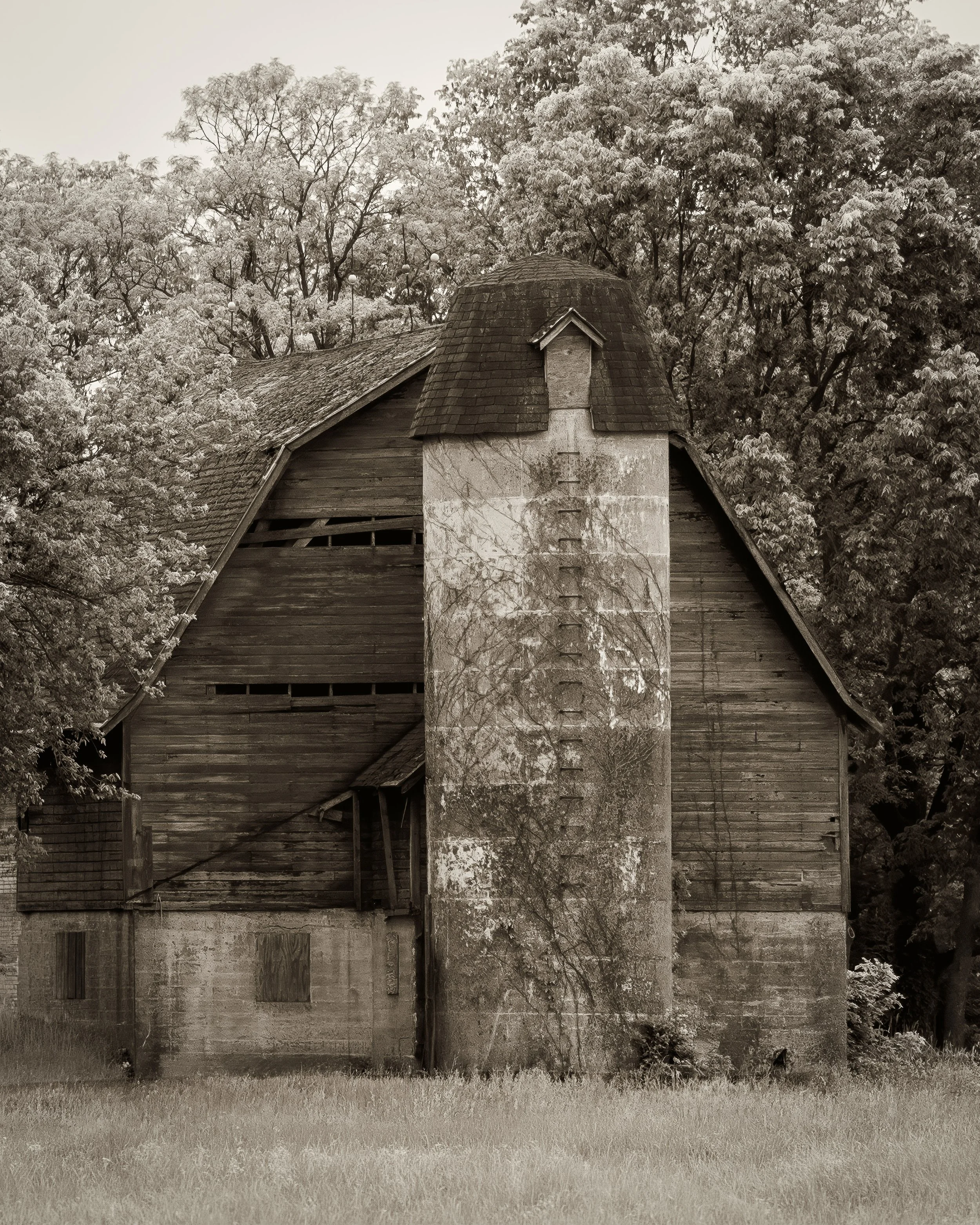 _DSC1204-2-Edit-Edit.jpg