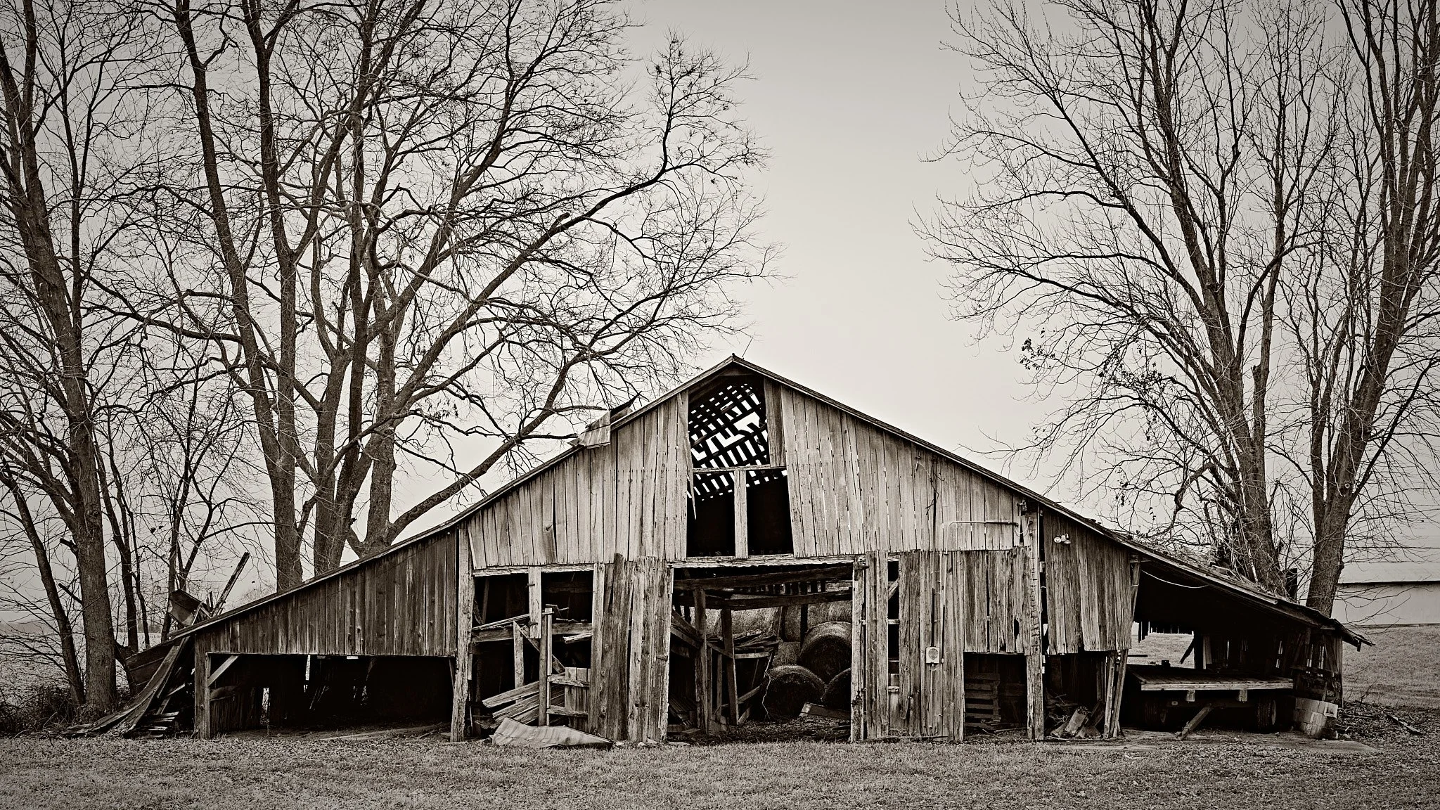 Dec 26 20253-40 AM.jpg