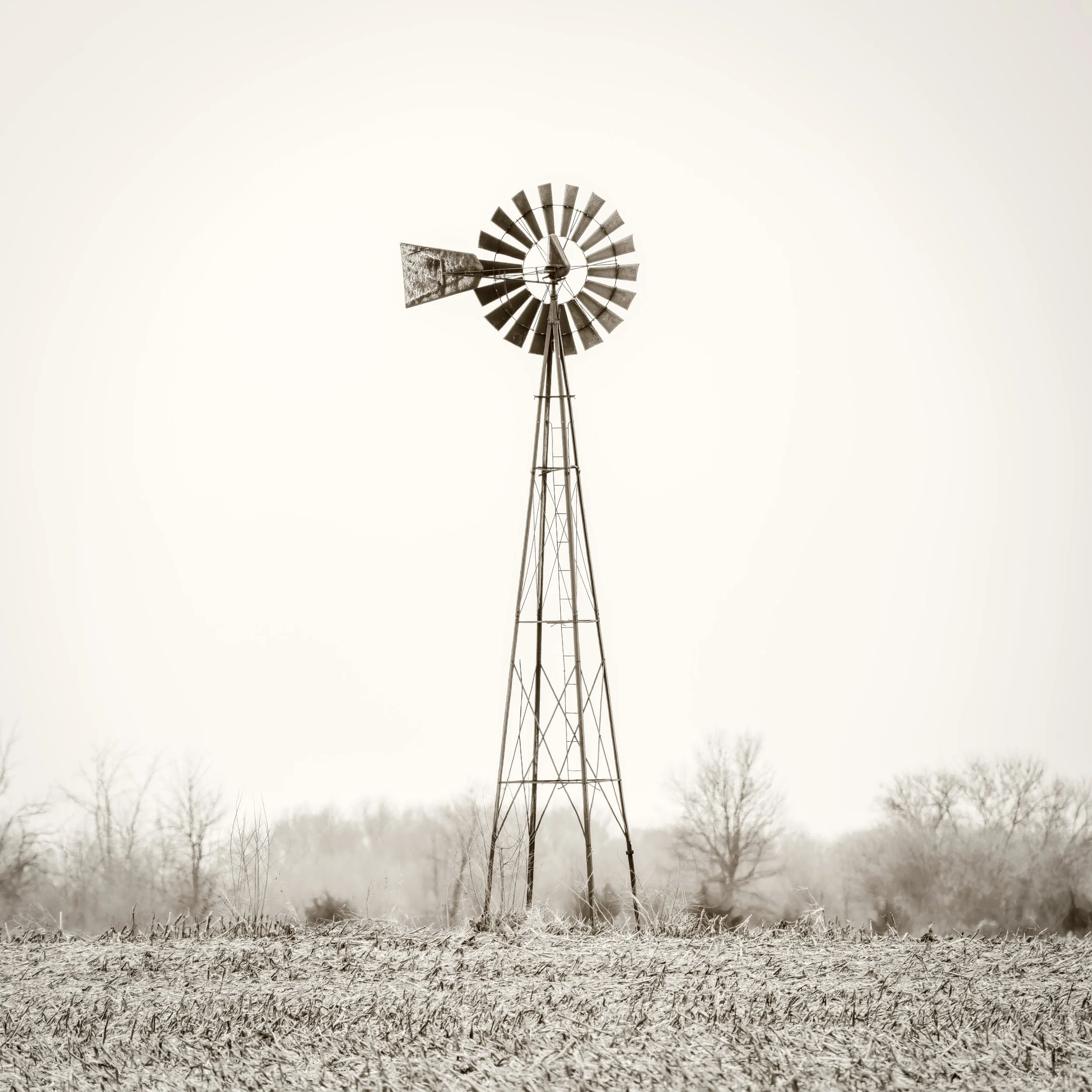 _DSC0130-Edit-Edit.jpg