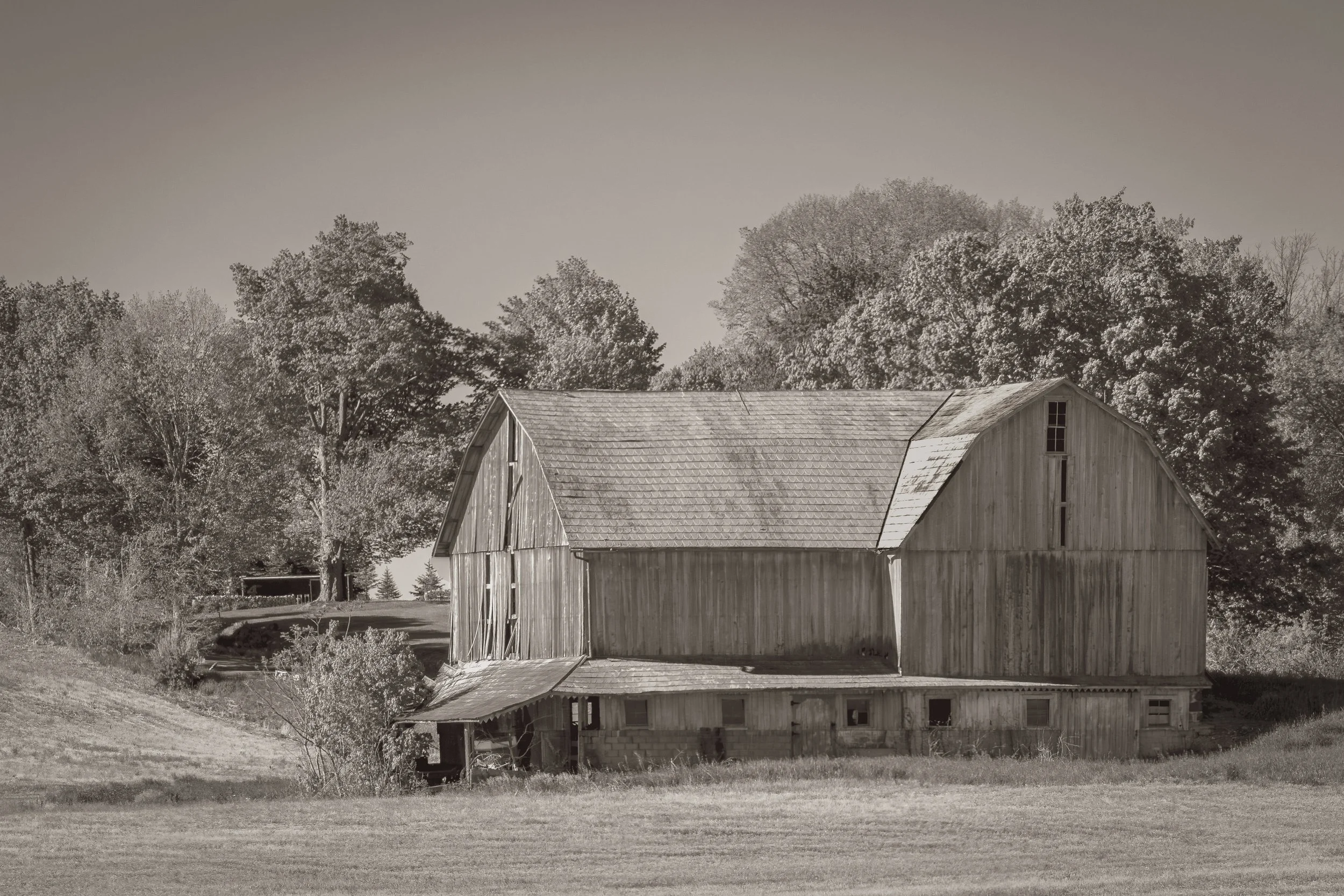 _DSC1134-Edit.jpg