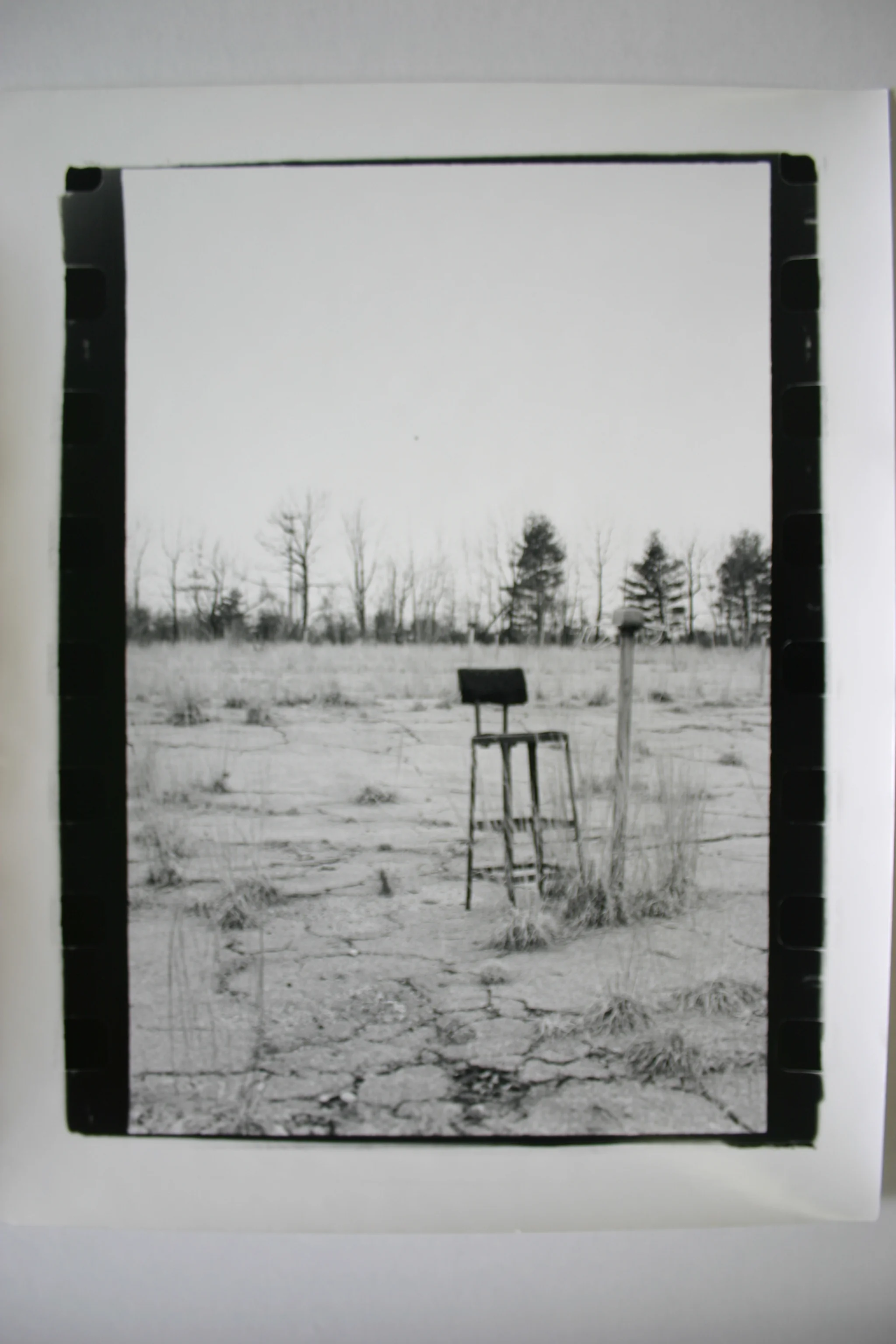  16x20" Silver Gelatin Print 