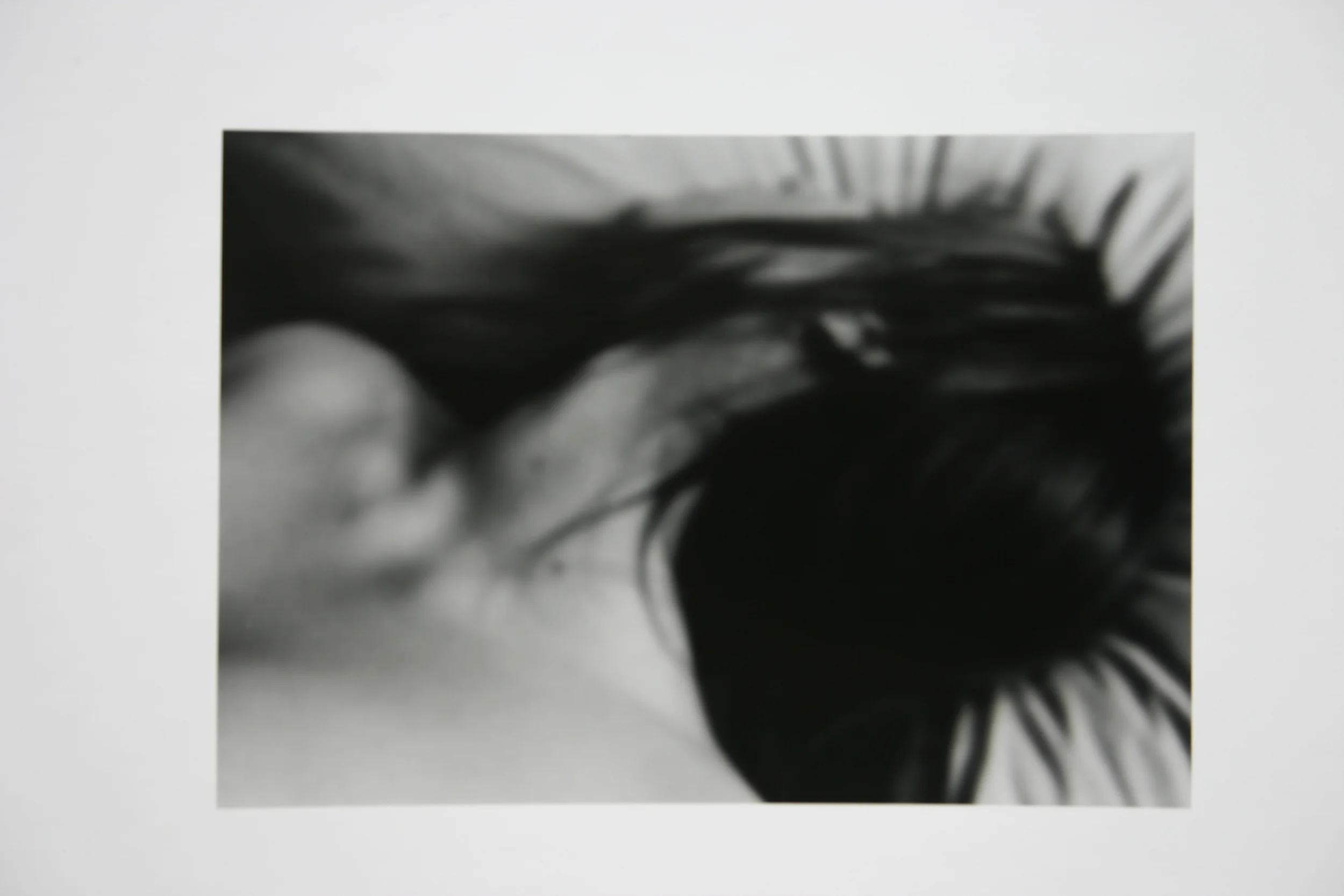  8x10" Silver Gelatin Print 