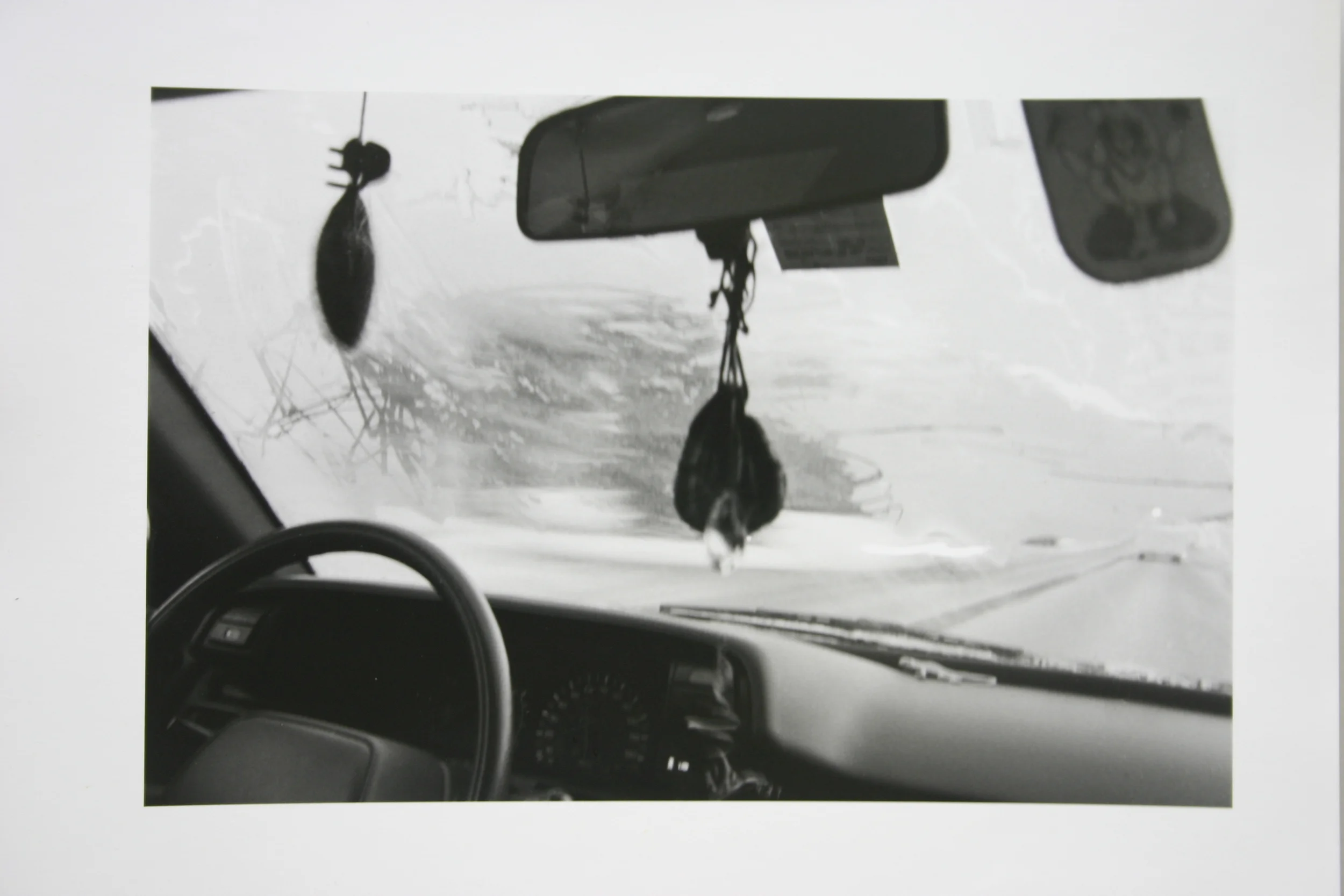  8x10" Silver Gelatin Print 