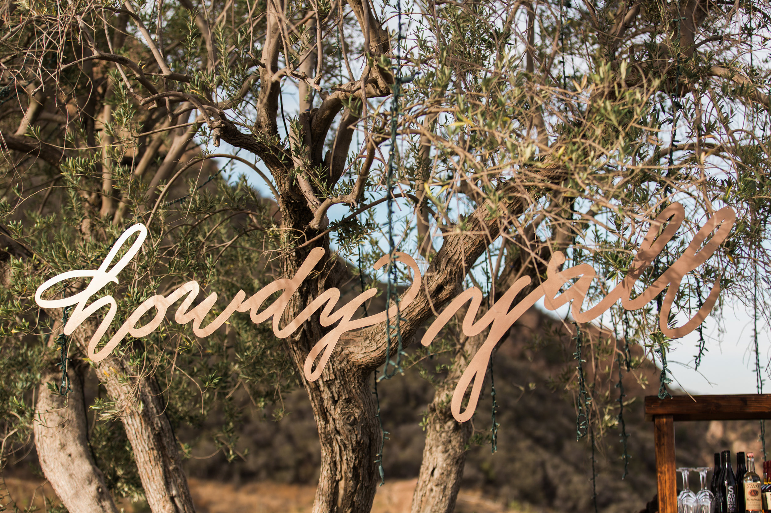 Howdy Yall Lasercut Sign Houston Calligraphy.jpg