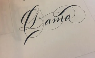 Canson deckled edge paper - This was my paper test... Works will with Sumi ink even with an old semi-flex nib.
