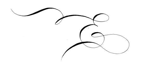 Calligraphy By Hand - Slinging Ink Houston Calligrapher - Bella Grafia Ink