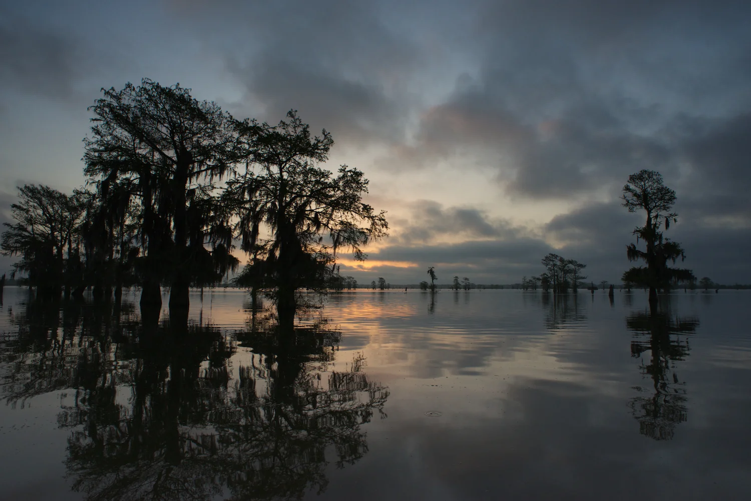 Sunrise Atchafalaya Basin