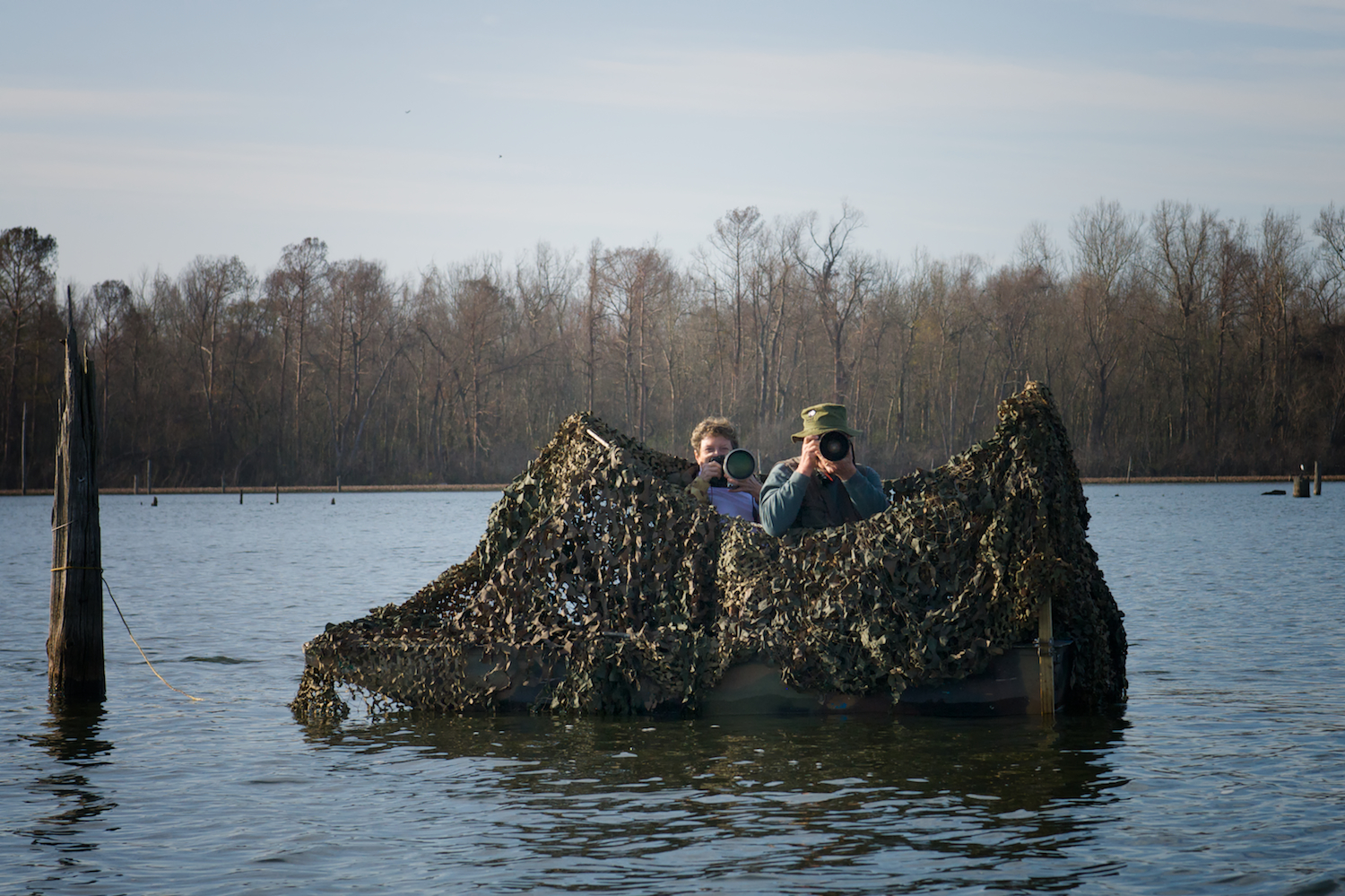 Photographing Osprey from a Blind