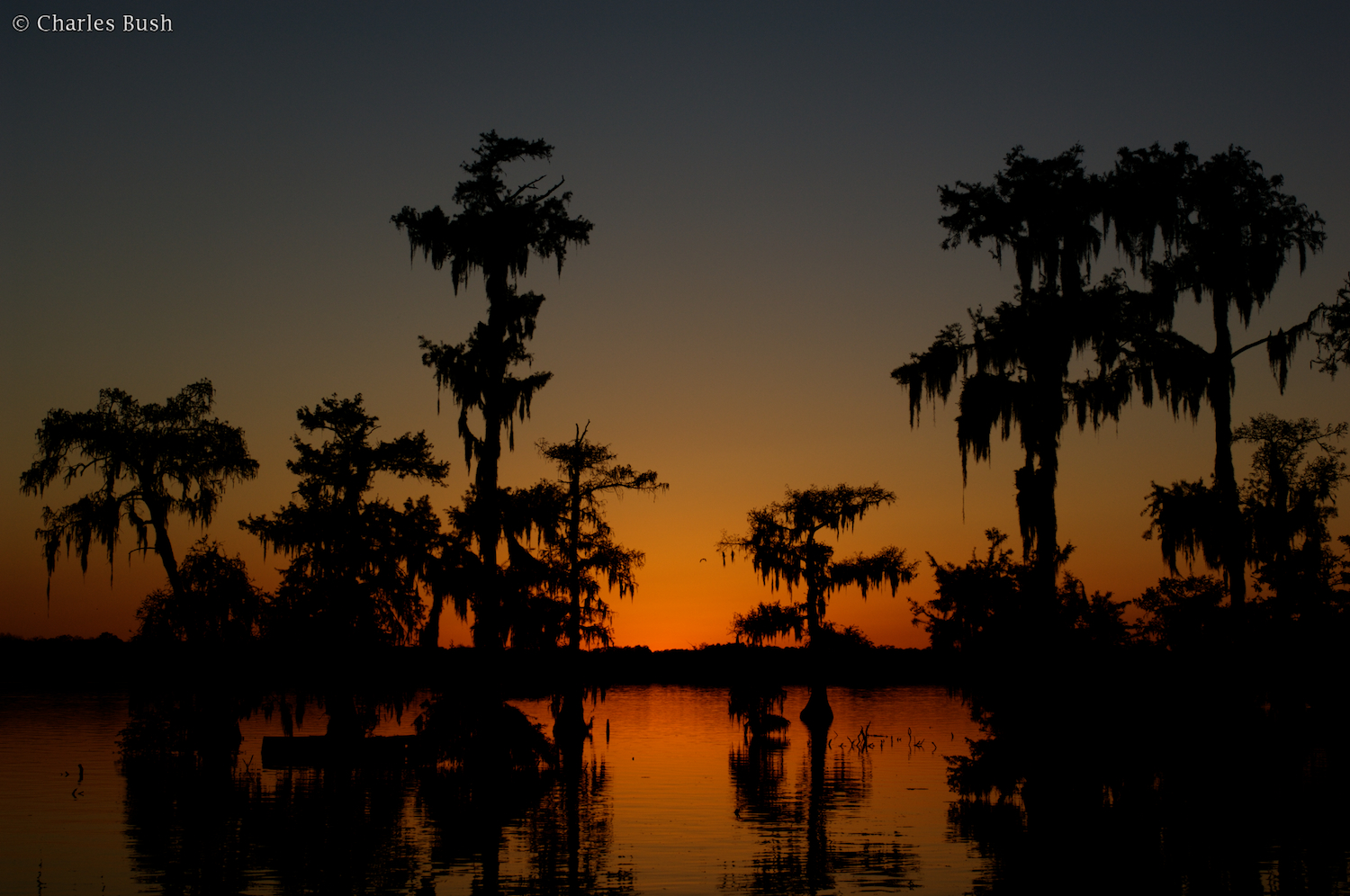 Sunset at Lake Martin