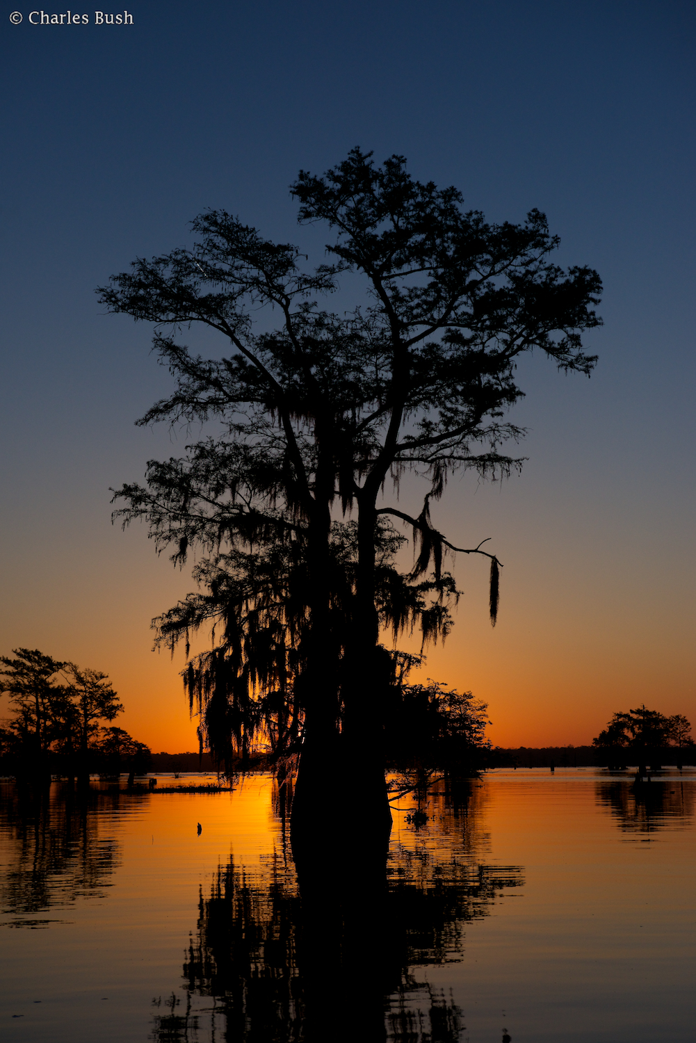 Sunrise Henderson Swamp